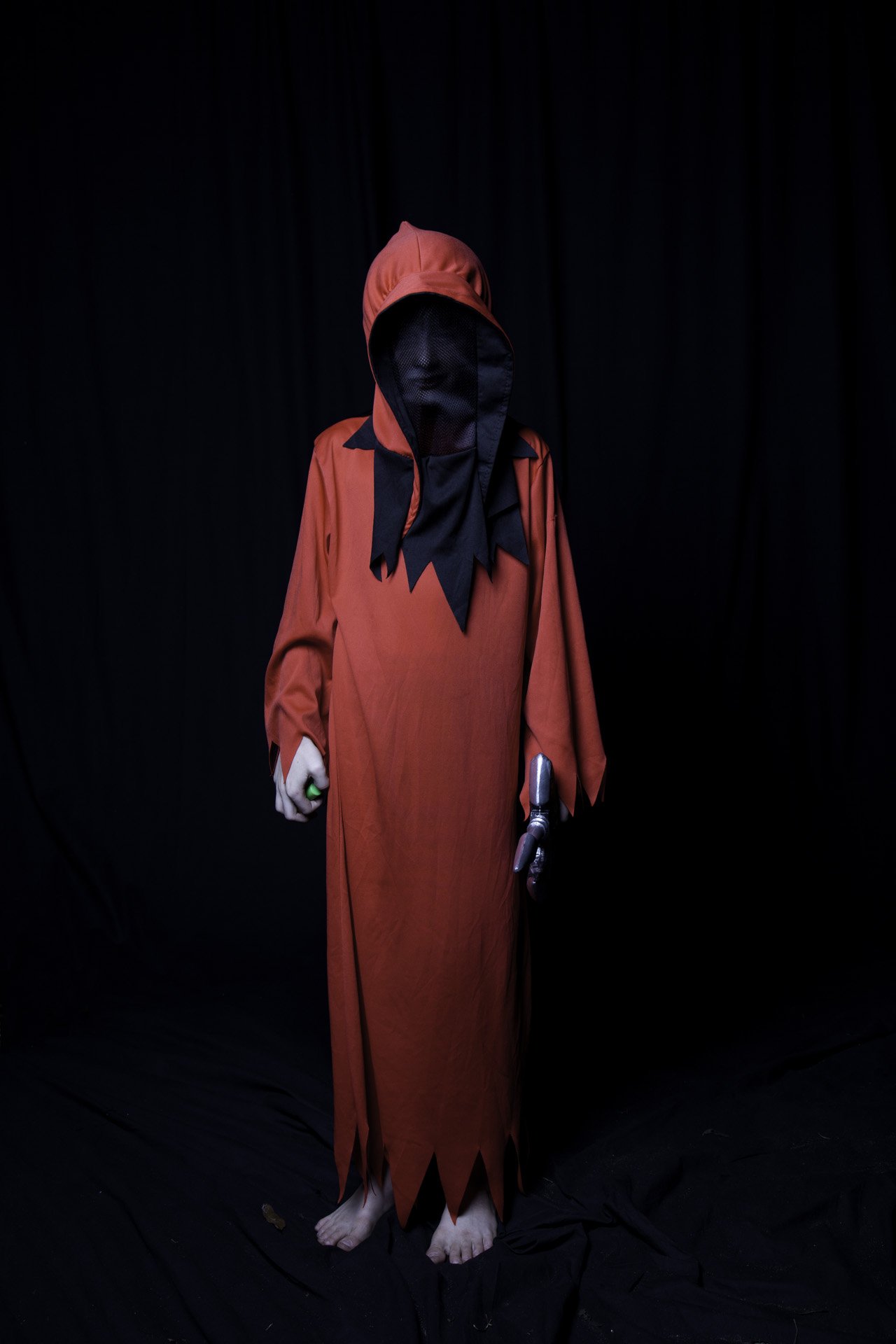  2013   About the Project  