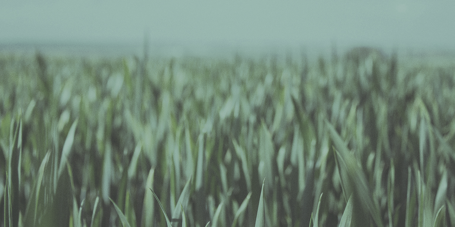 header3alt.jpg