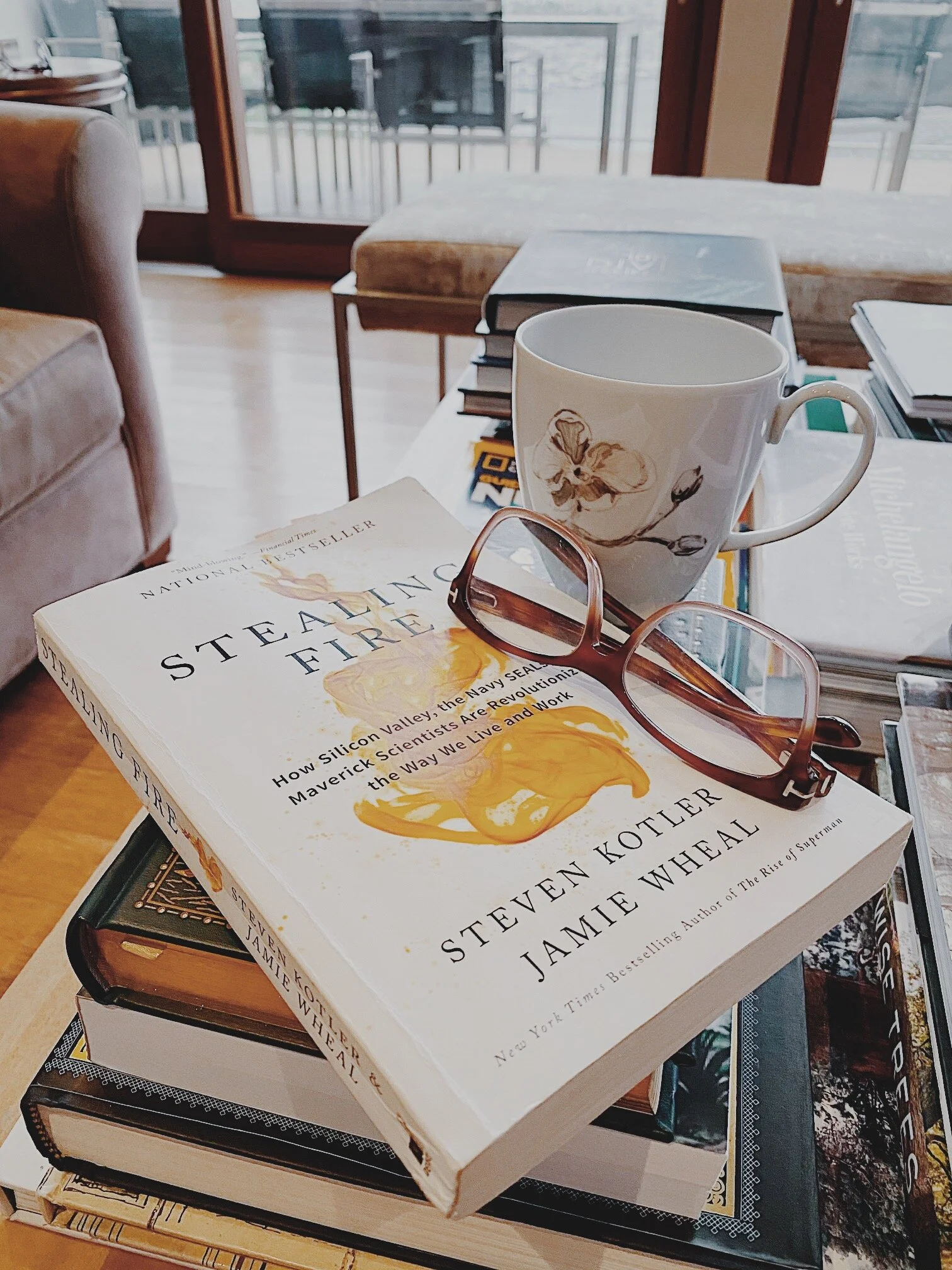 Shebbie's Live Life Library: Stealing Fire