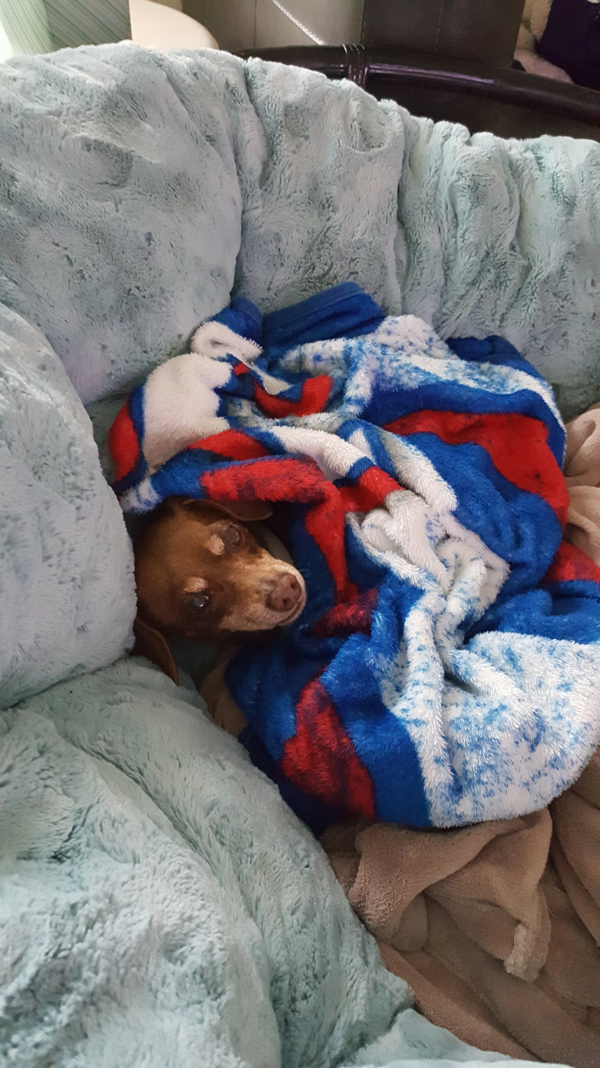 Ribbie Face.jpg