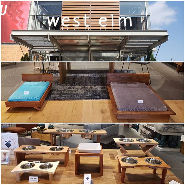 Pop up at West Elm Mockingbird Station in Dallas. Come out and see us and our adorable pet furniture! #westelm #PetFurniture #MidCenturyModern #DogBed #followme #petfeeders