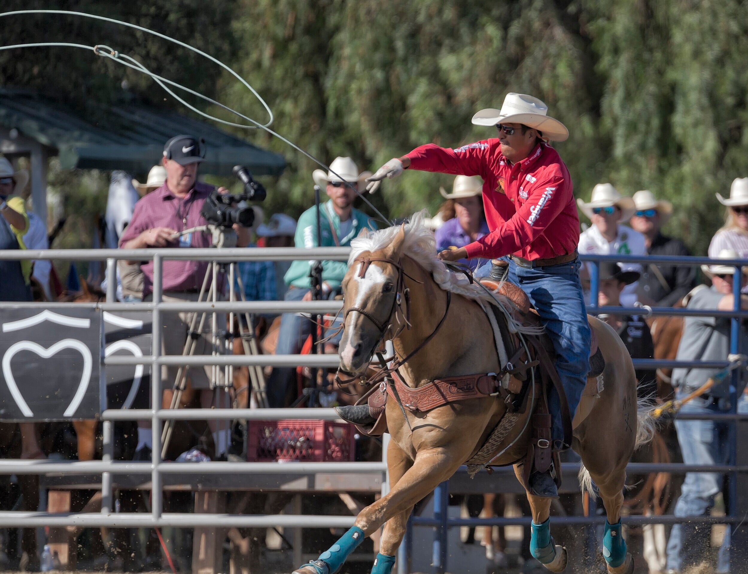 Team Roping