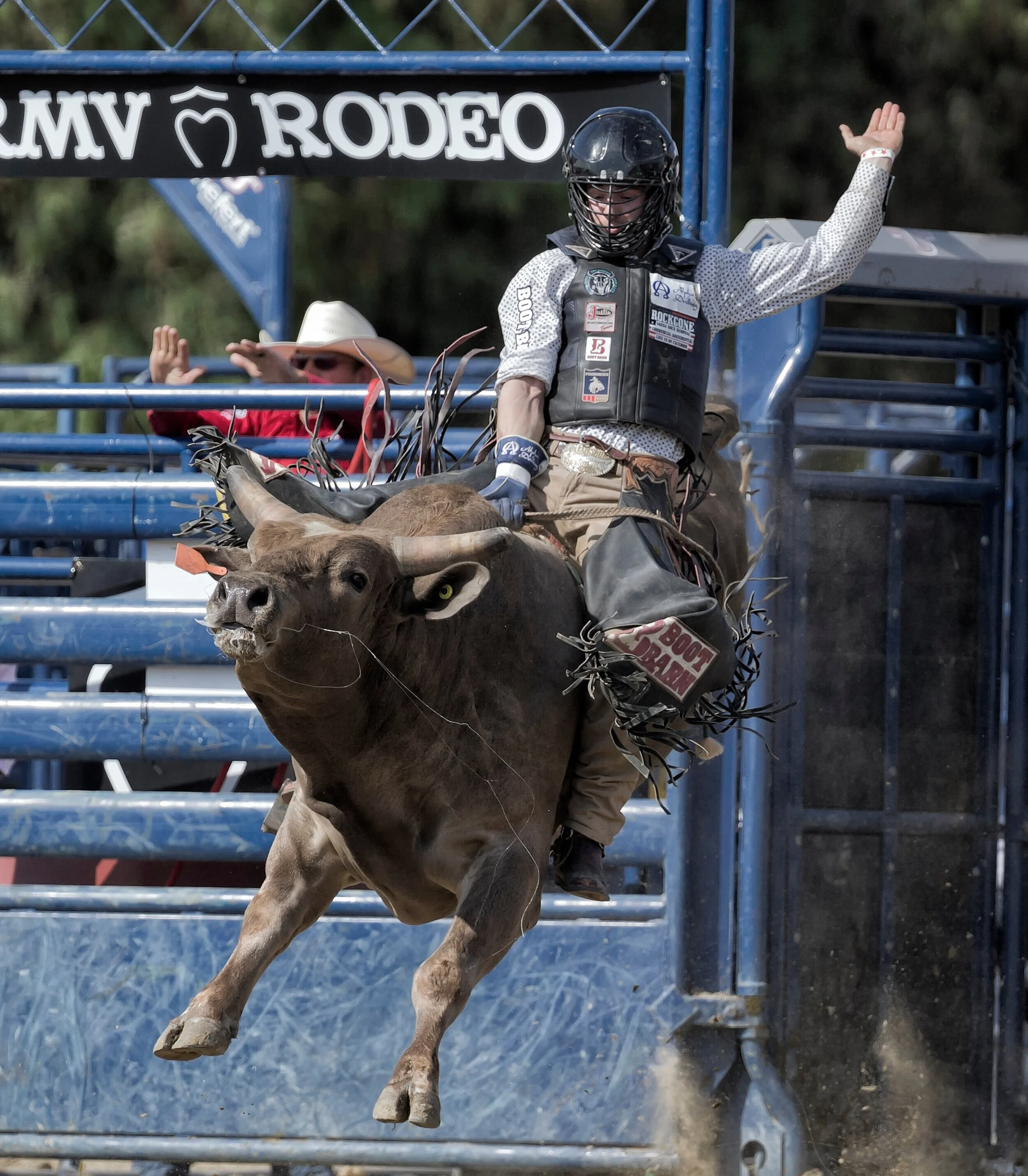 Bull Riding