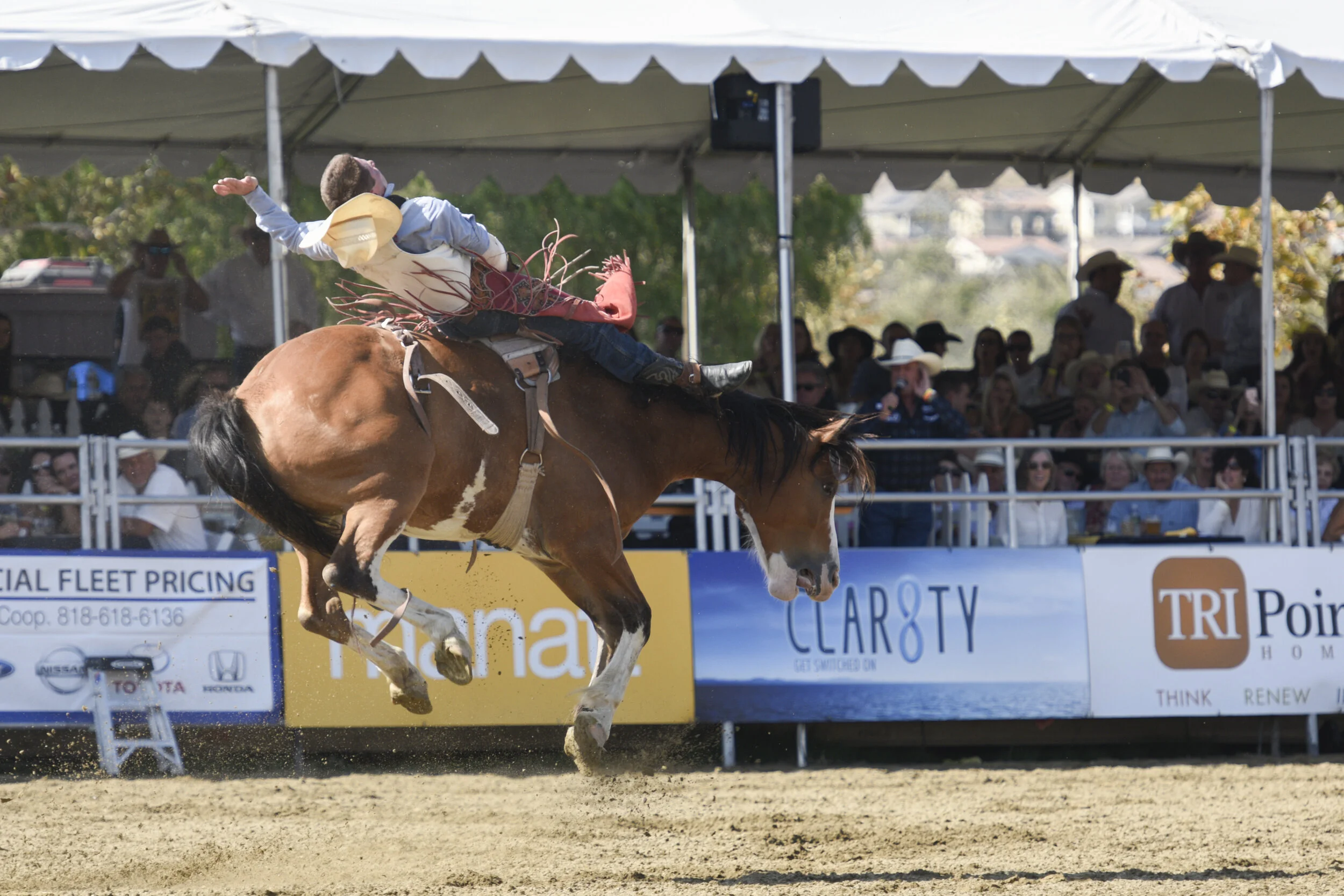 Bronc 2 - 2016.jpg