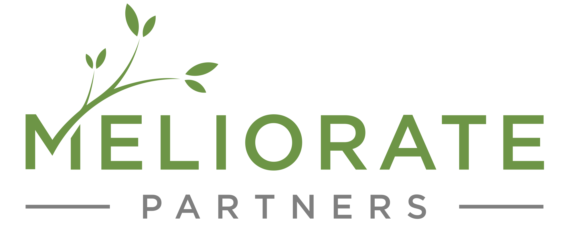 Meliorate Partners - Horizontal Master.png