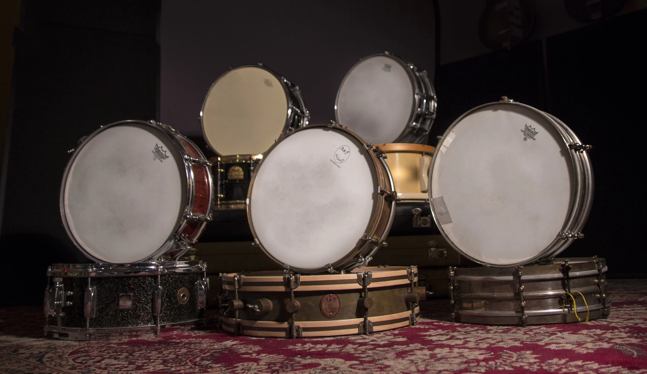 SNARE master.jpg