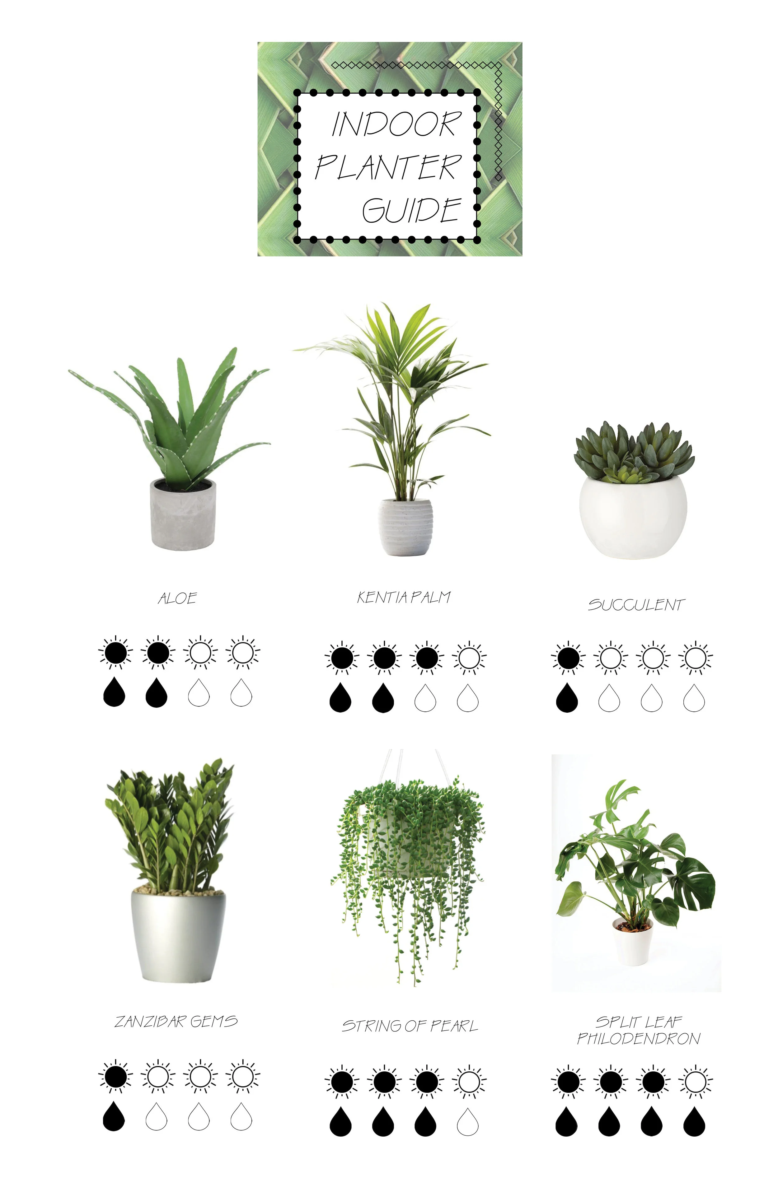 planters2.jpg