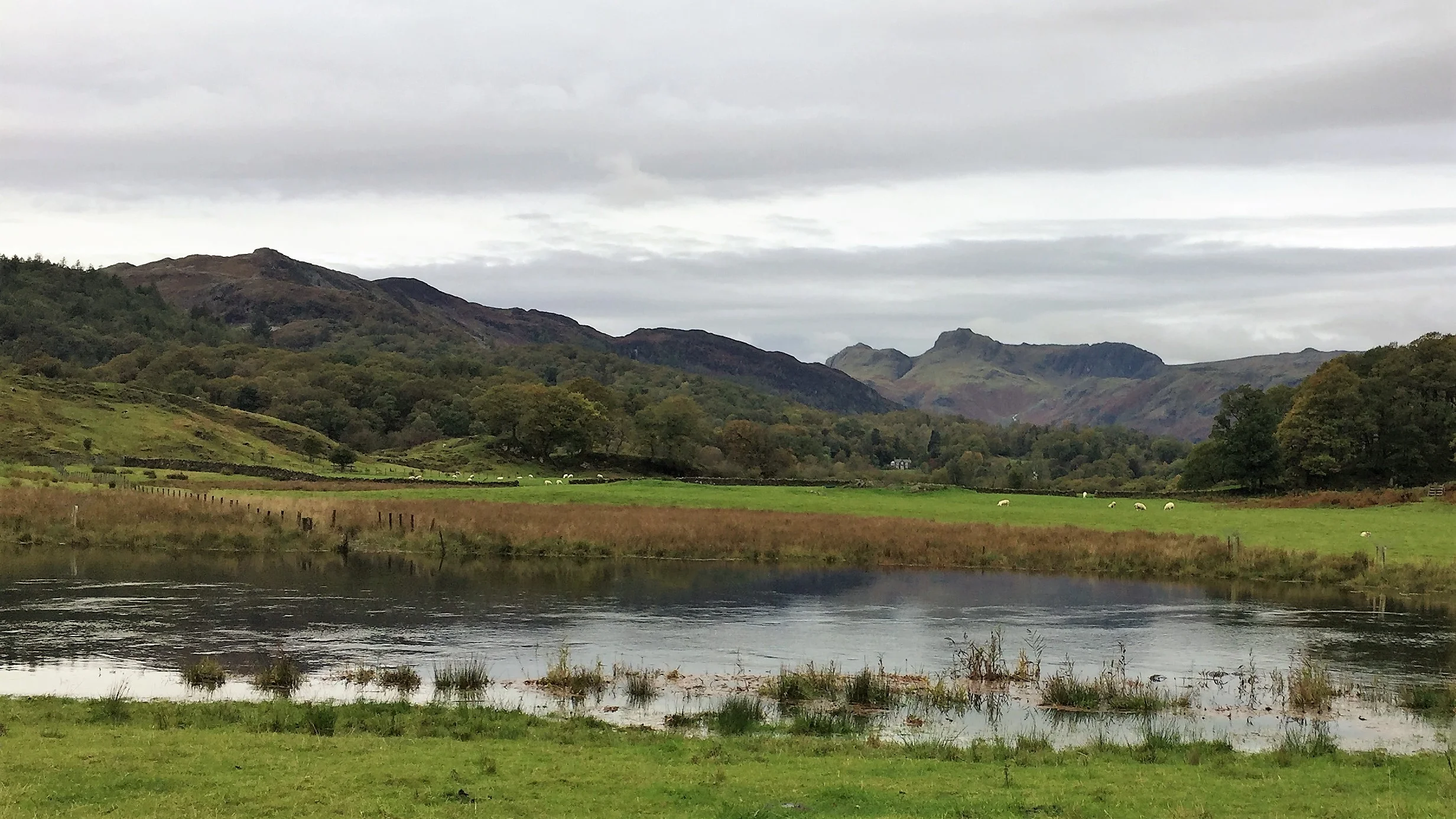 Elterwater and views2 - Langdale.jpg