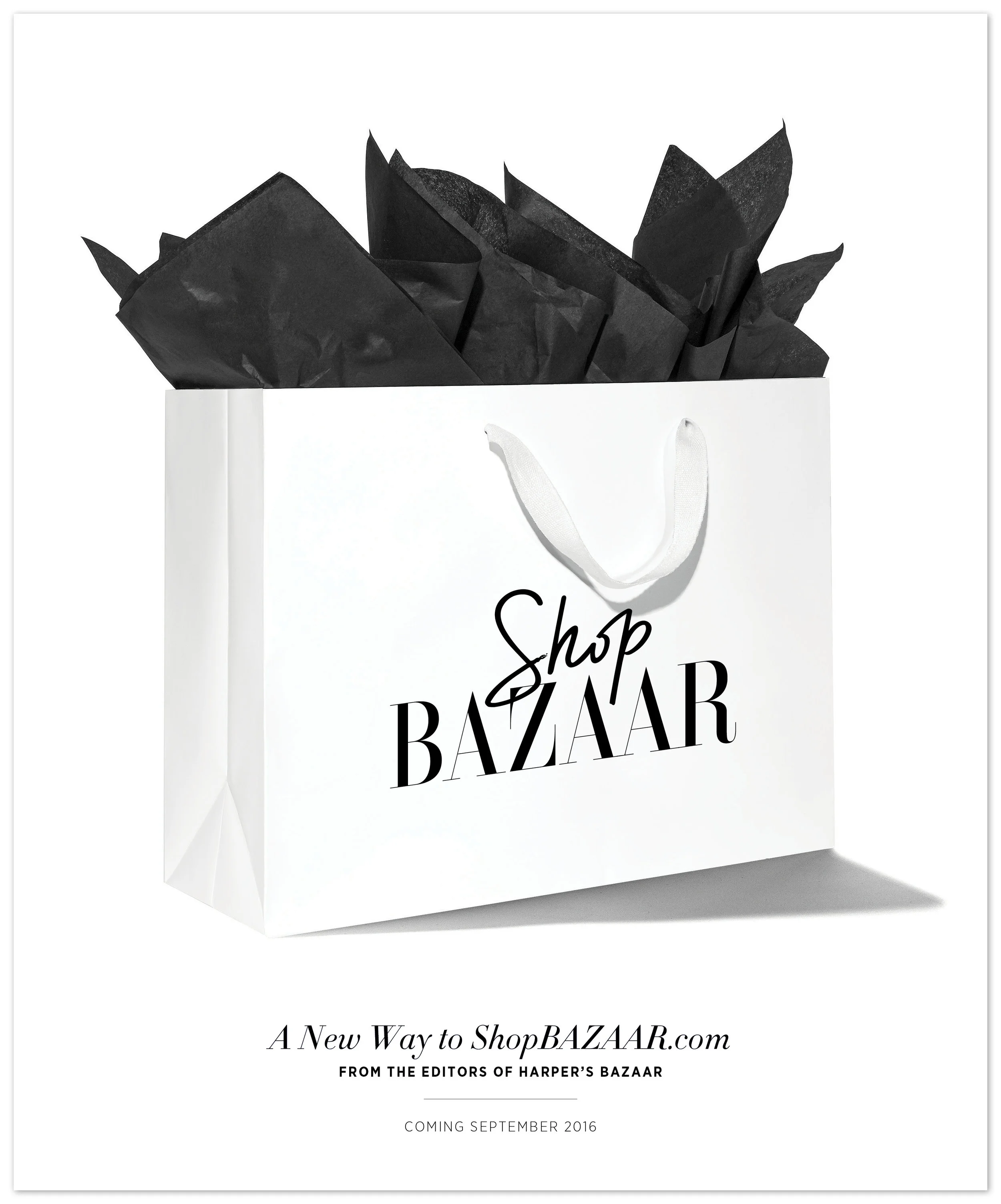 SBZ Redesign Sep 20162.jpg