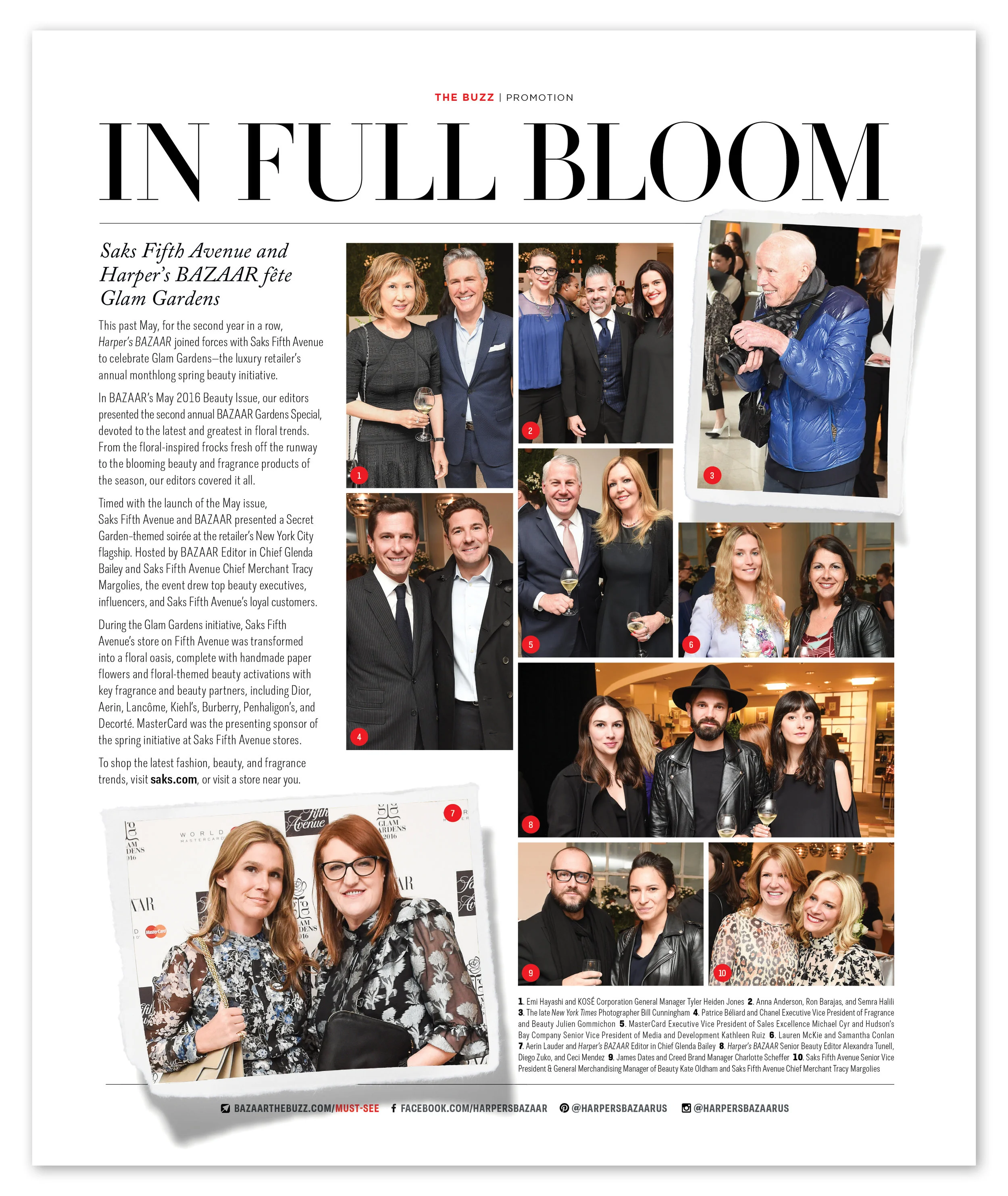 BUZZ Garden Sep 2016.jpg