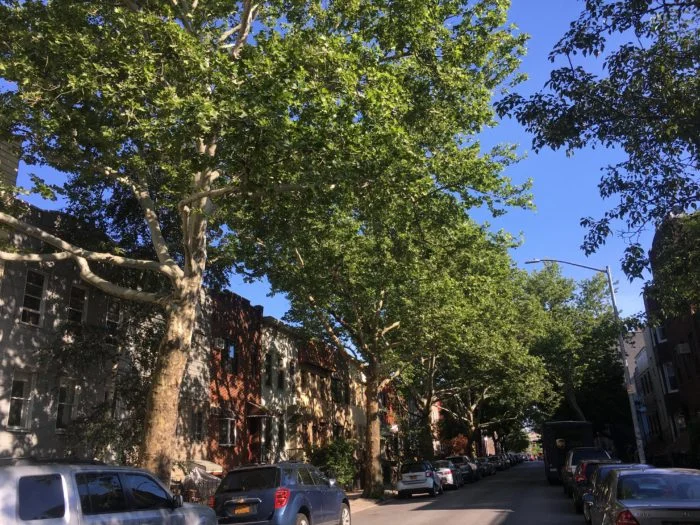 brooklyn street.jpg