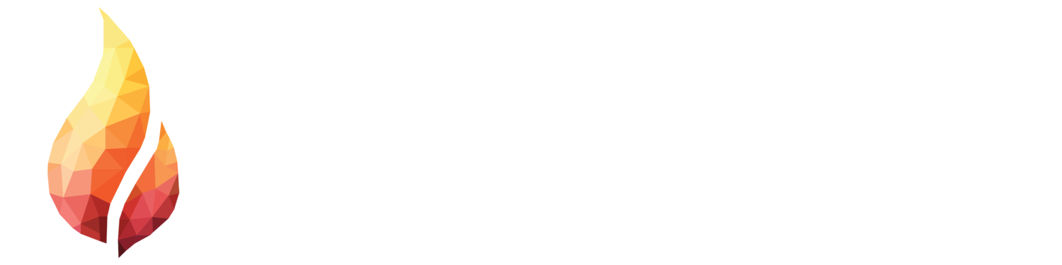 Illuminate International