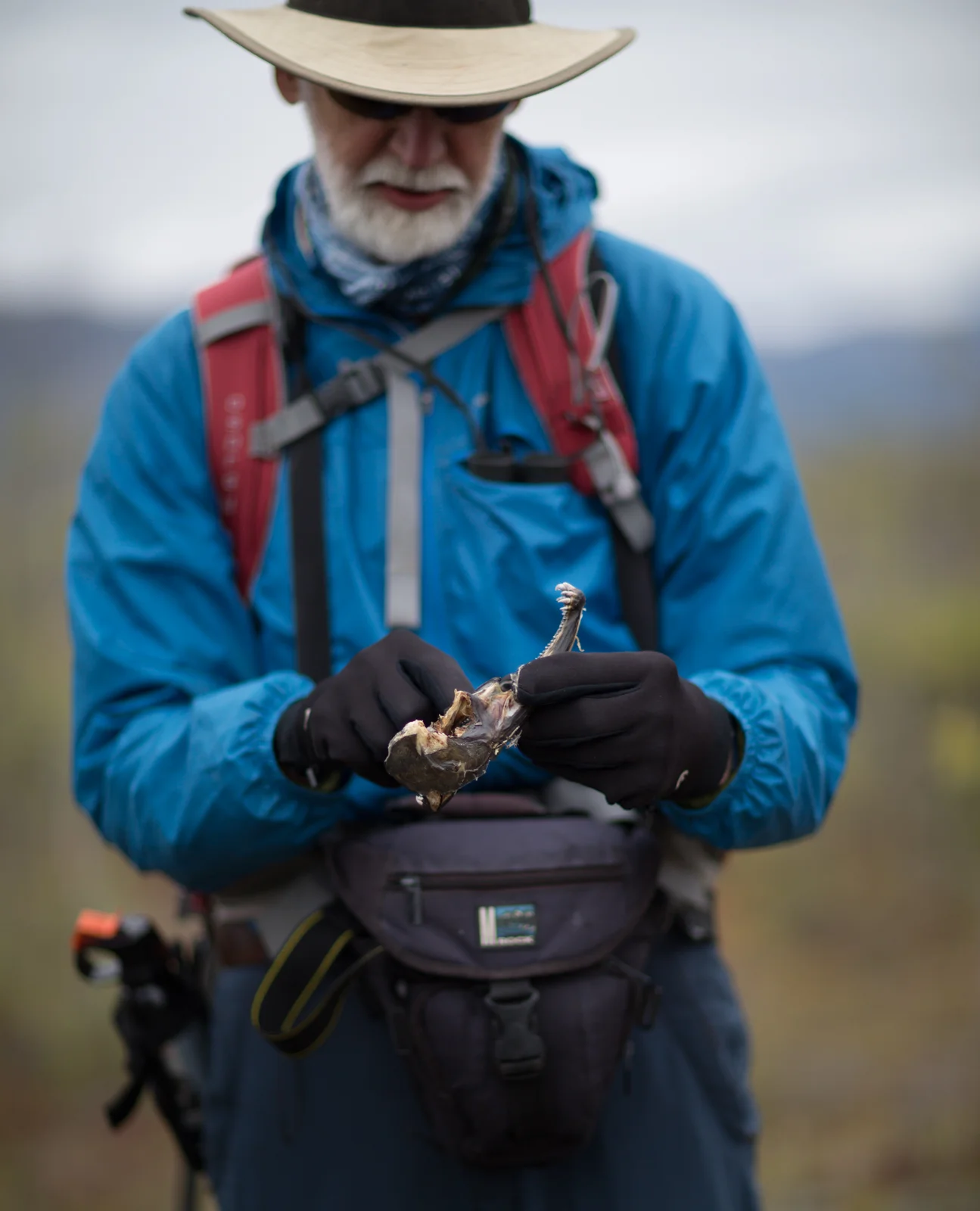 TMP_Noatak_2961.jpg