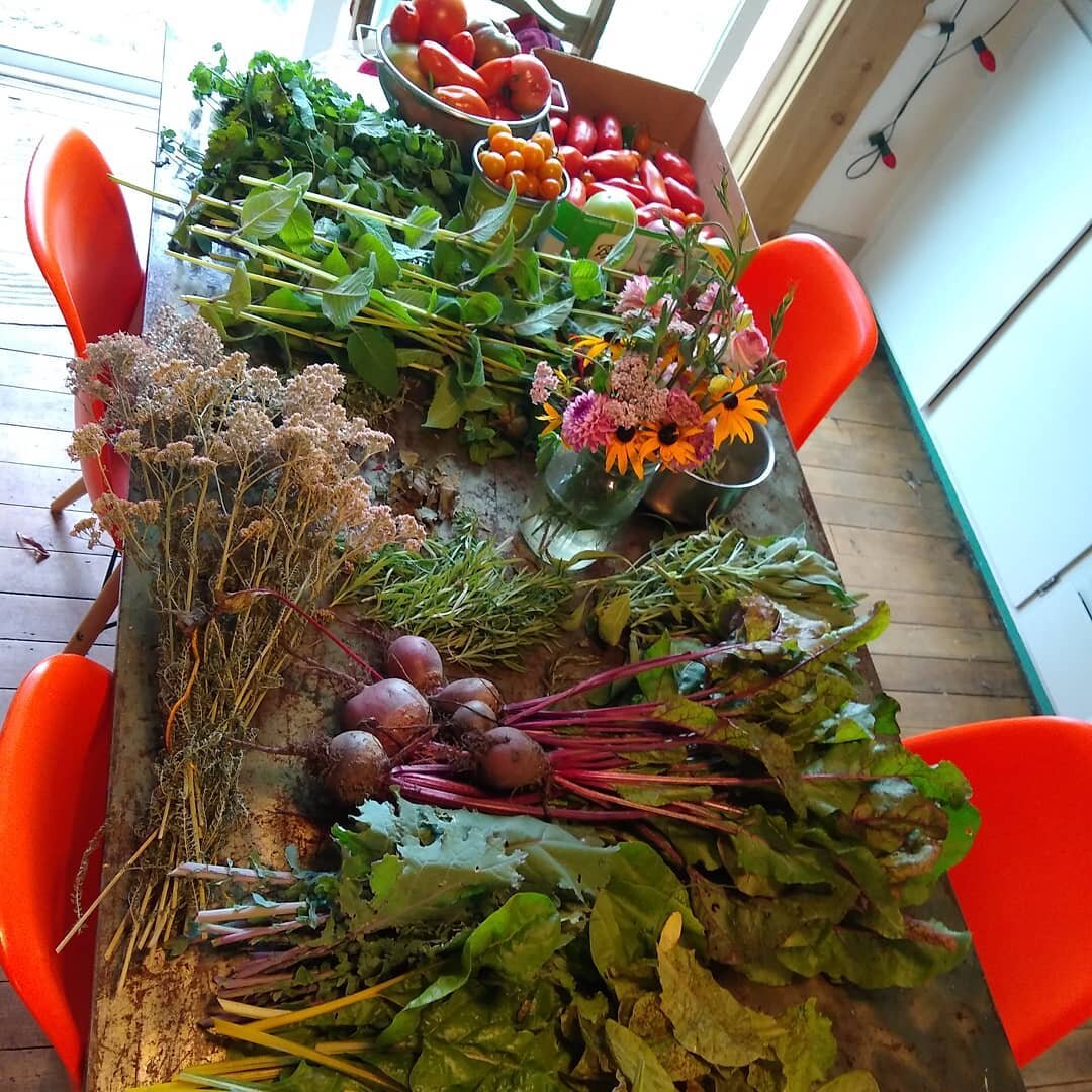 Today's garden haul.
#gardening