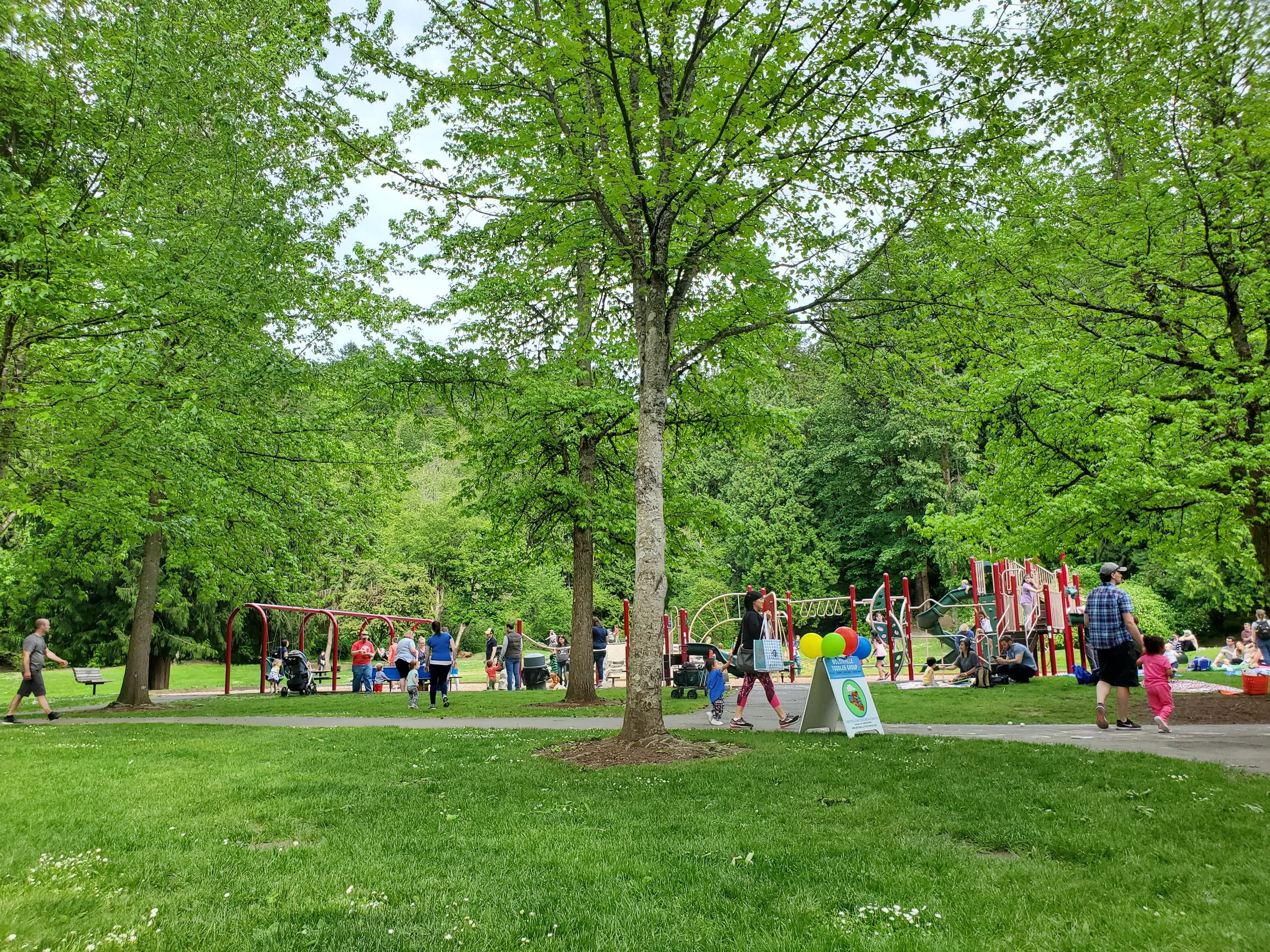 20190518_172923.jpg