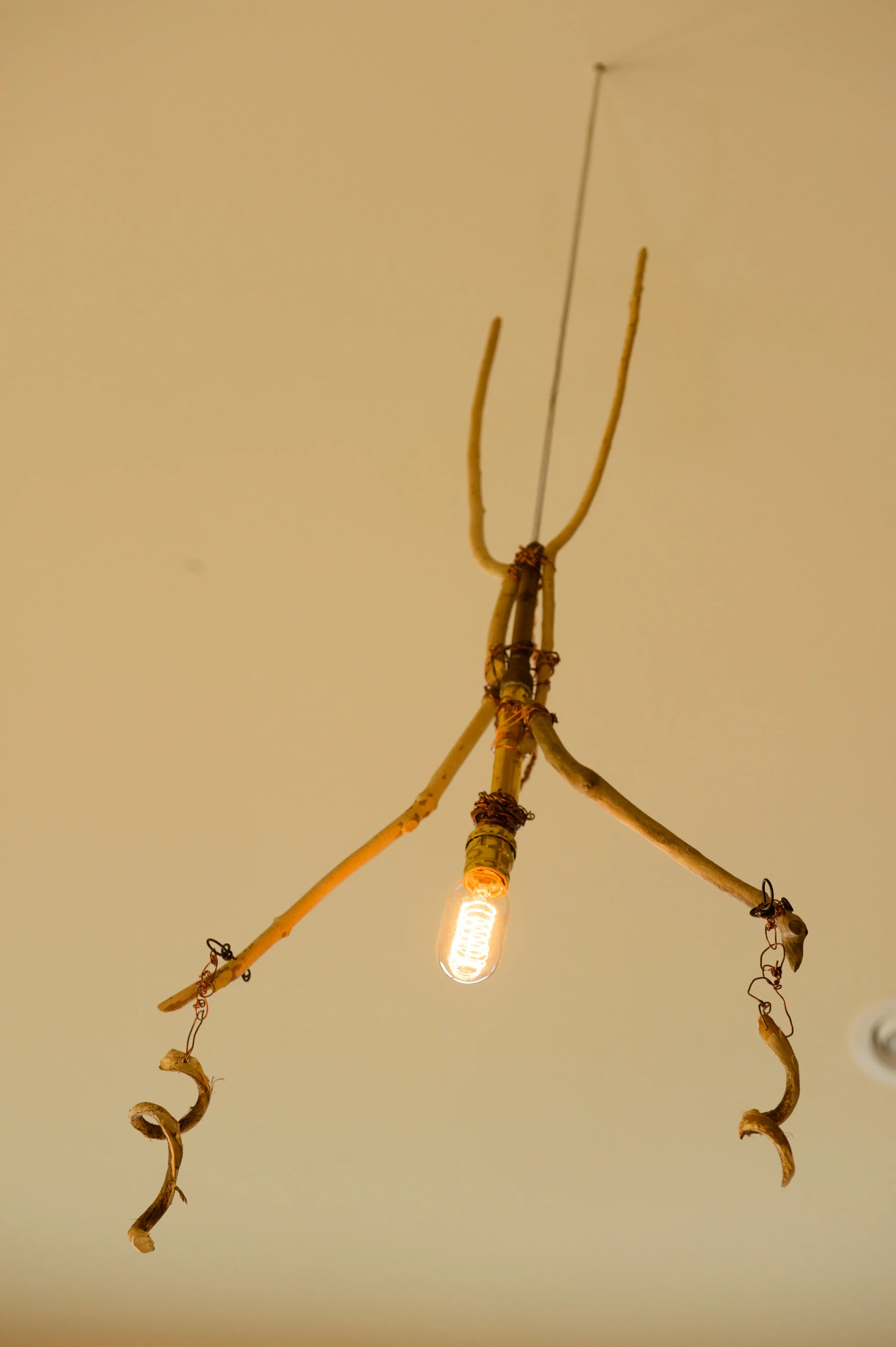 WBK_8573-27.jpg
