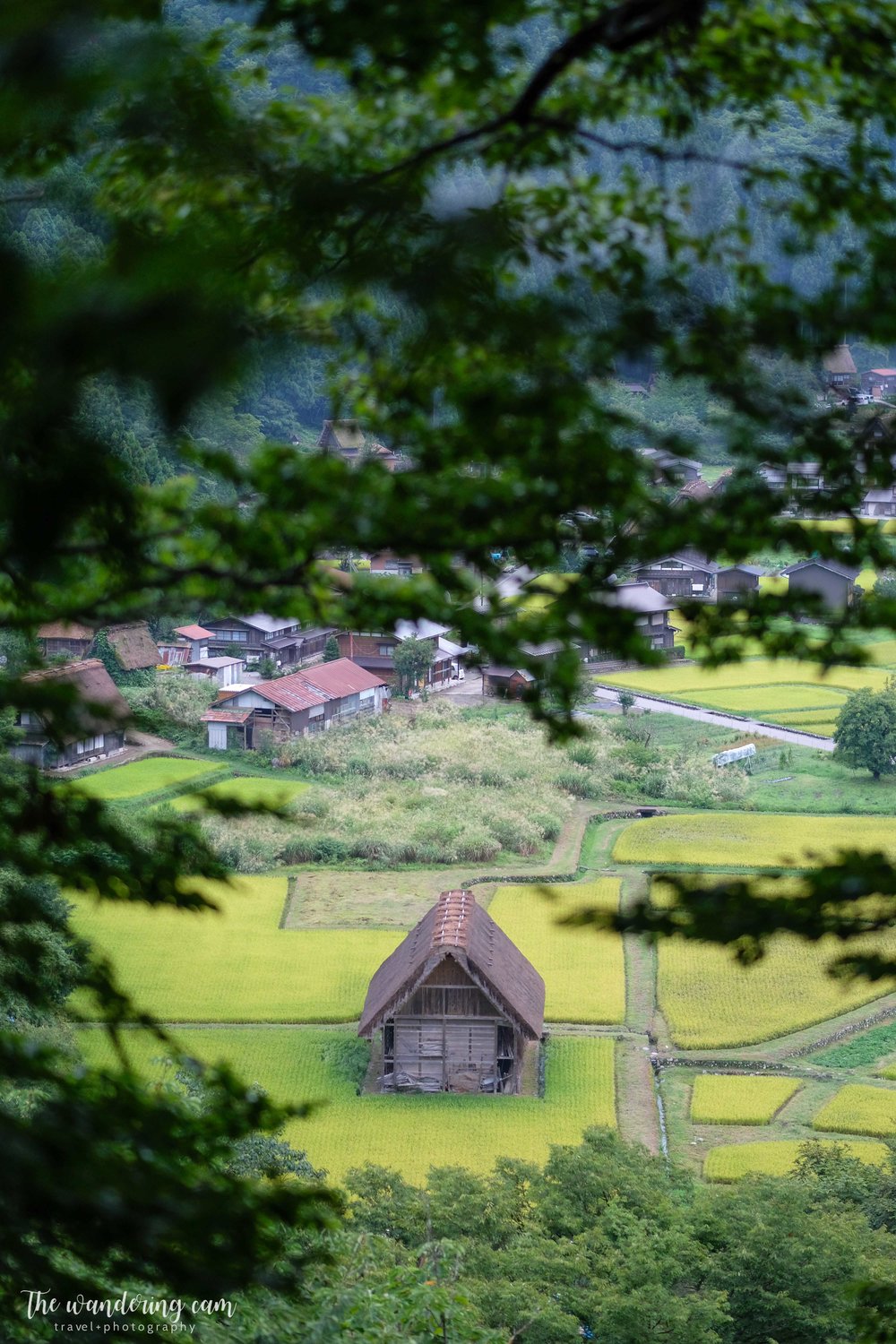 thewanderingcam_shirakawago_travel-3220.jpg