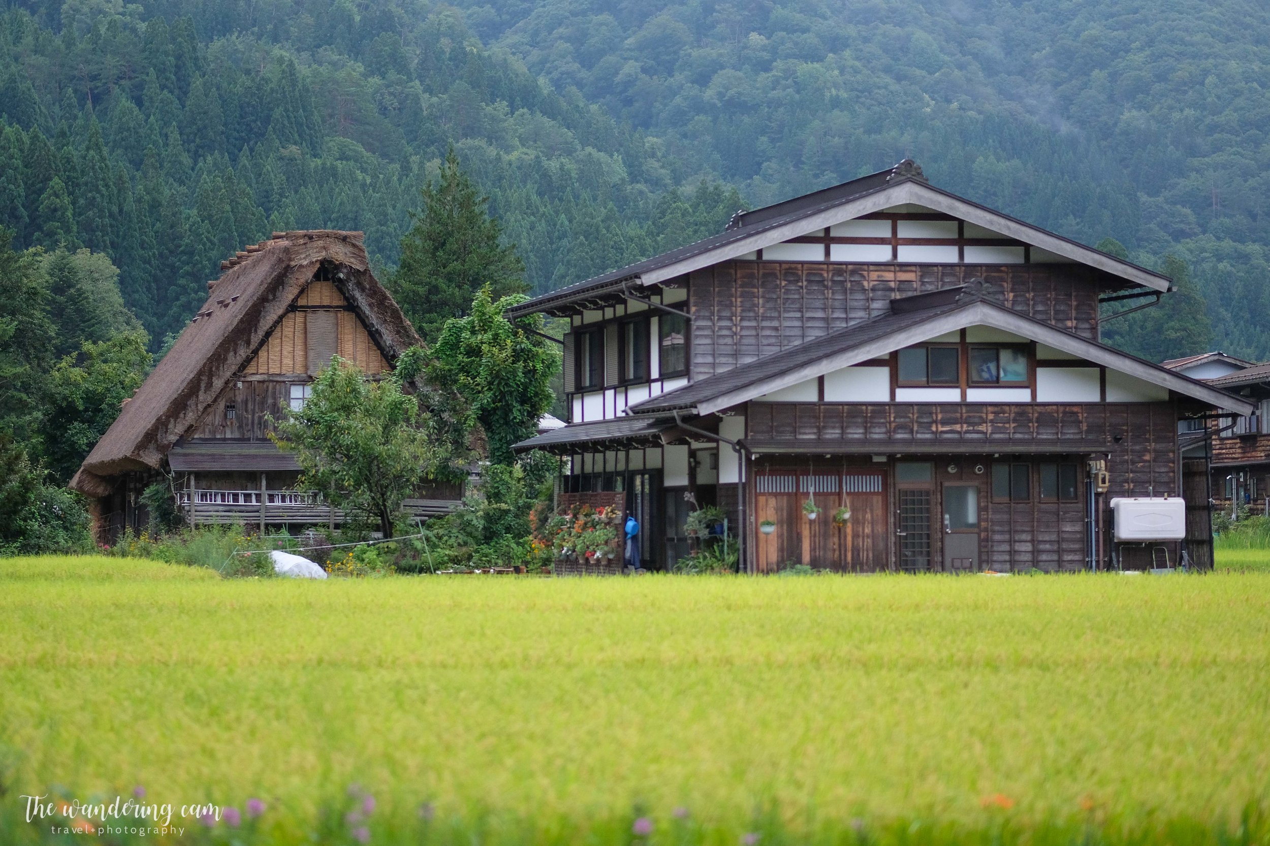 thewanderingcam_shirakawago_travel-3229.jpg