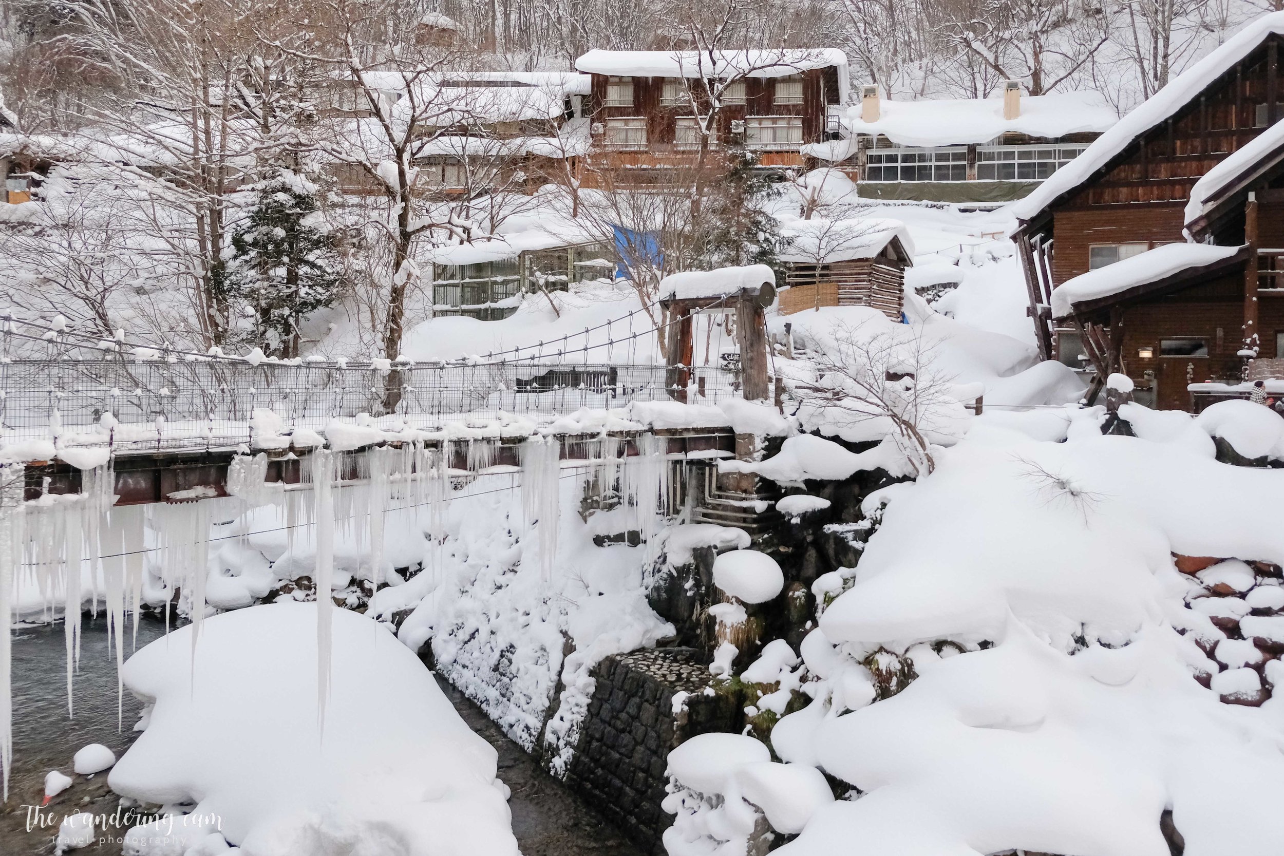 thewanderingcam_takaragawa_onsen_tokyo-3691.jpg