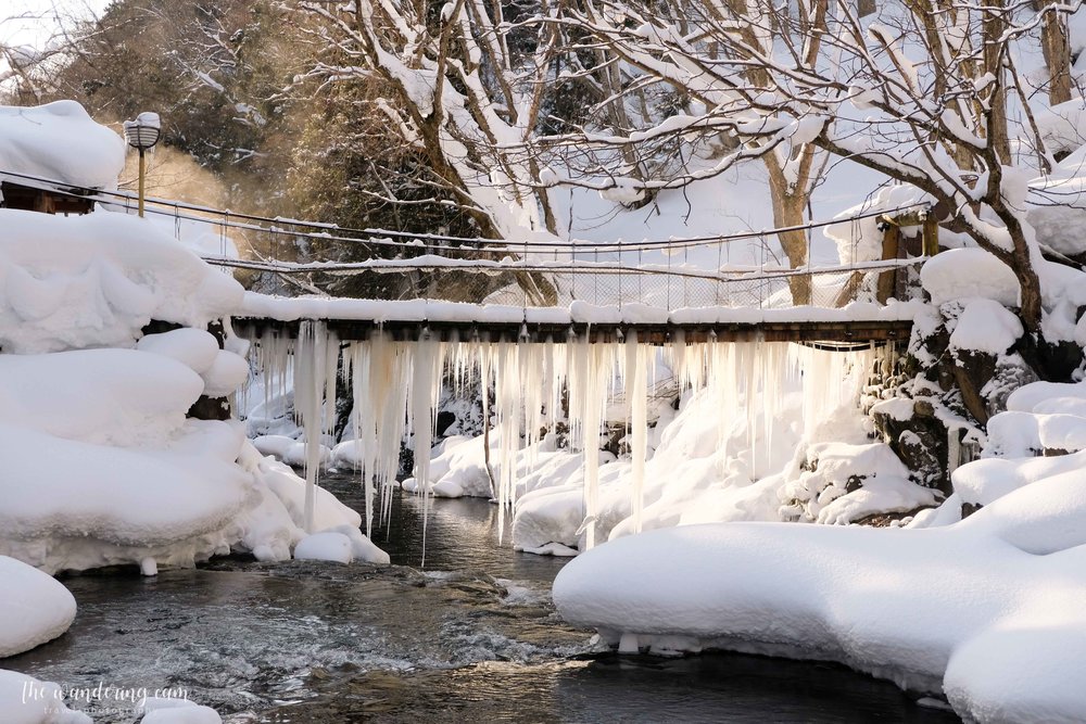 thewanderingcam_takaragawa_onsen_tokyo-3728.jpg