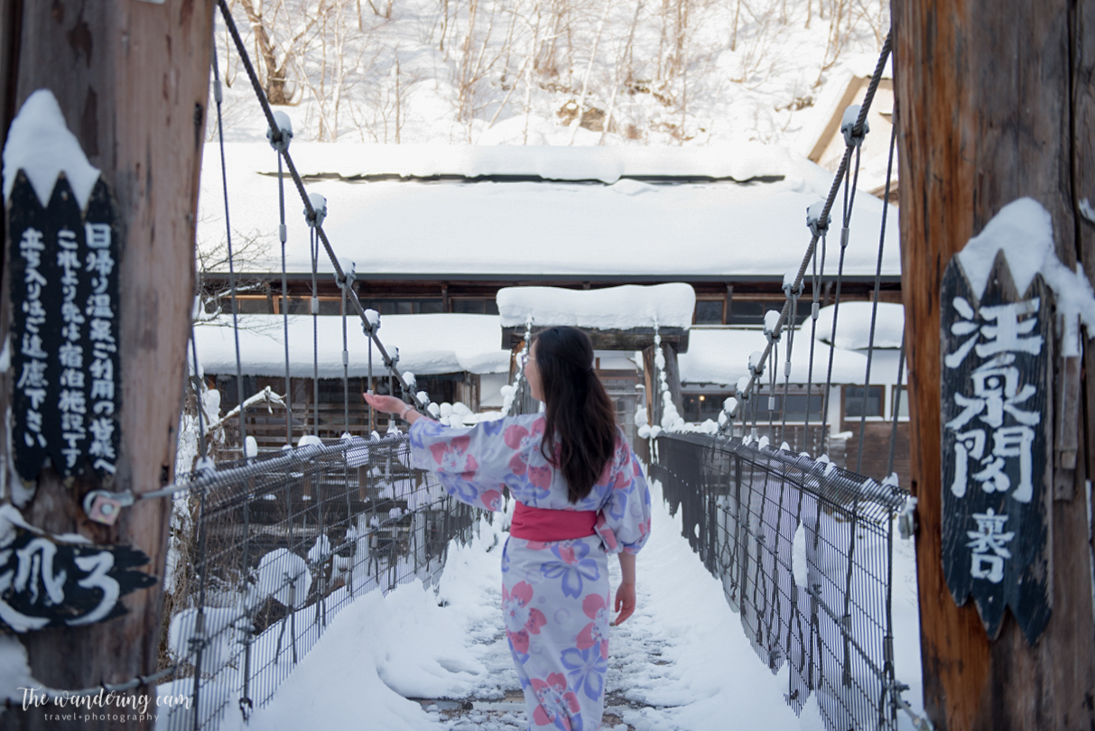 thewanderingcam_takaragawa_onsen_tokyo-4978.jpg