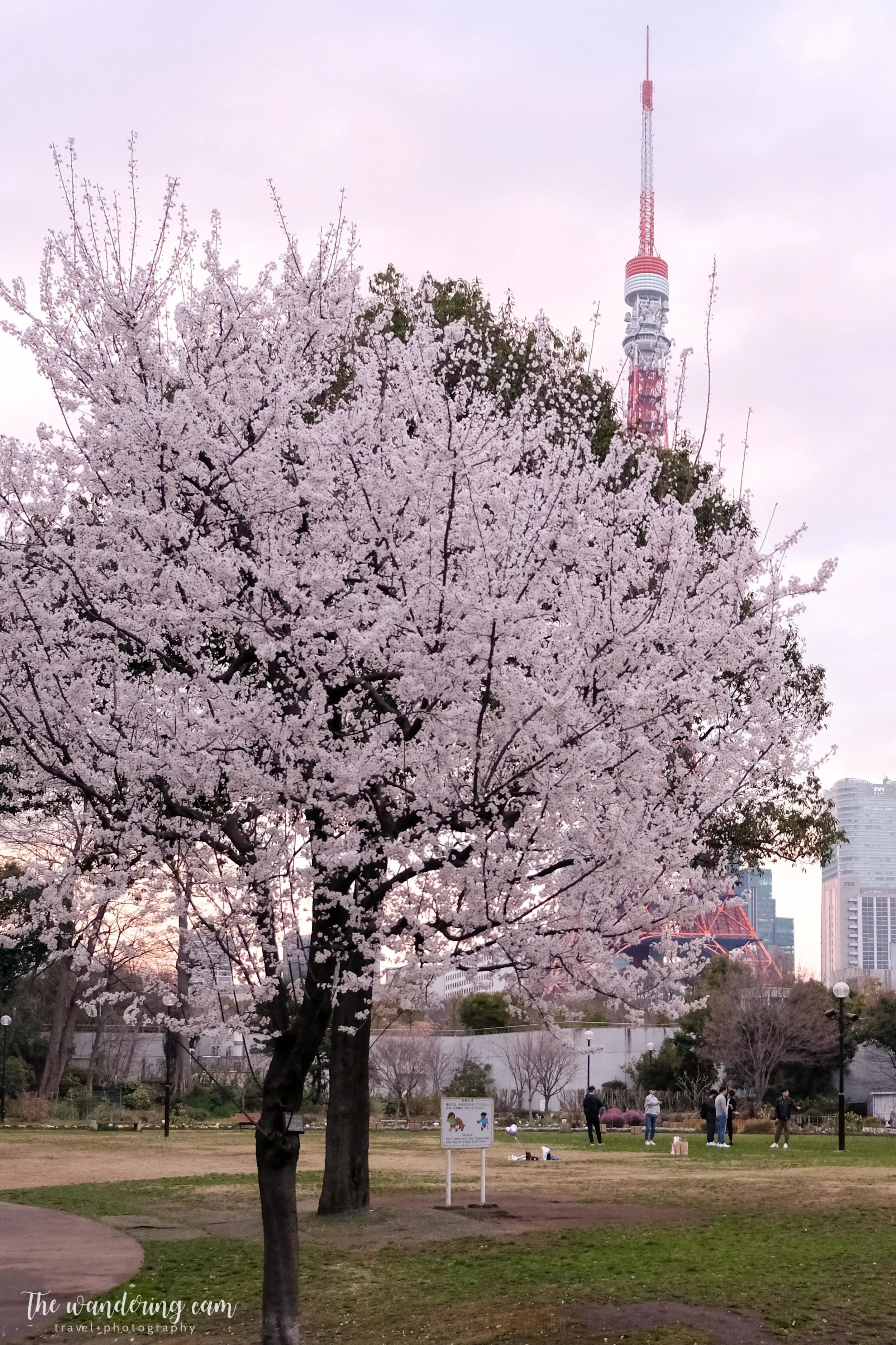 One tree is all you need!