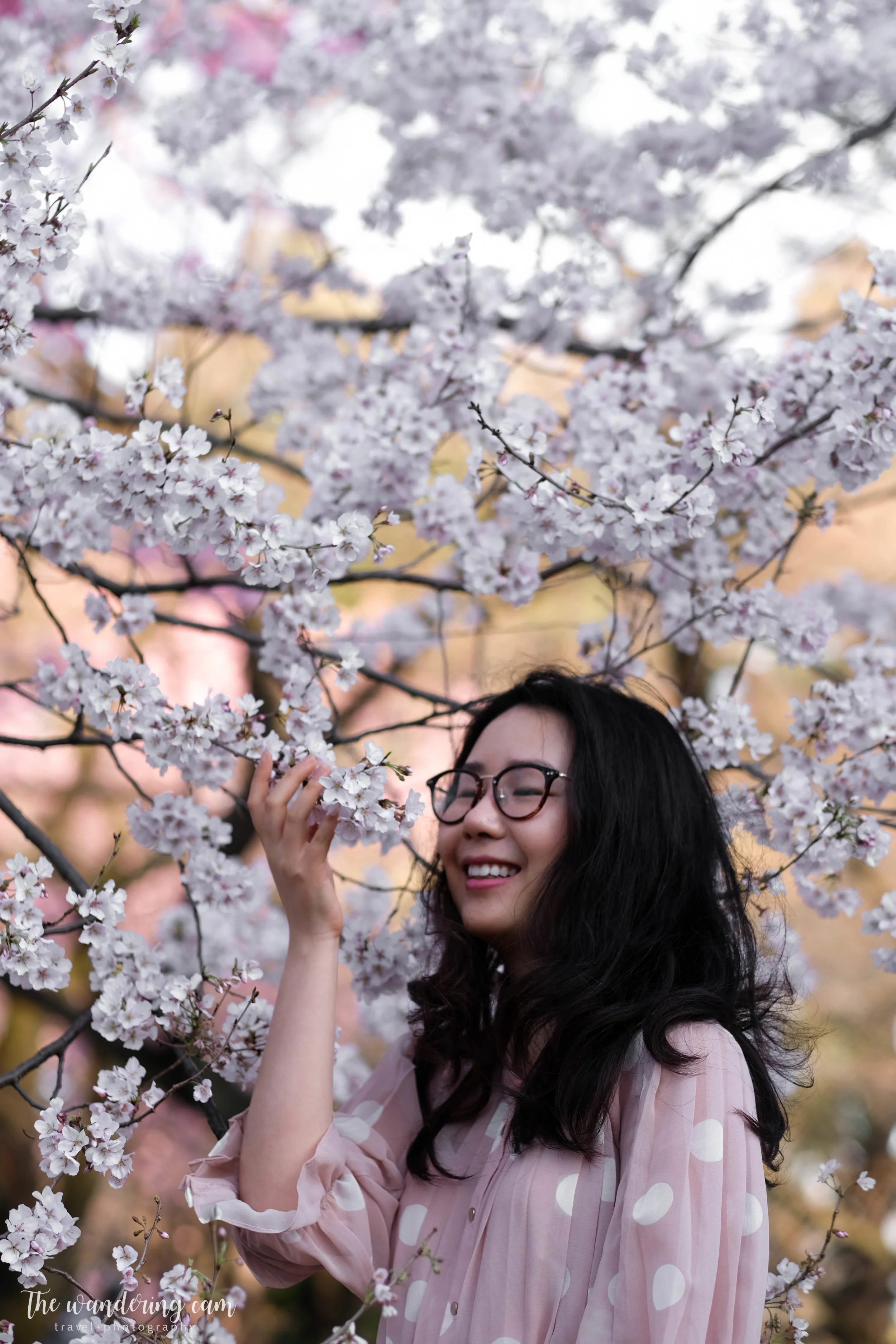 thewanderingcam_sakura_shinjukugyoen-4291.jpg
