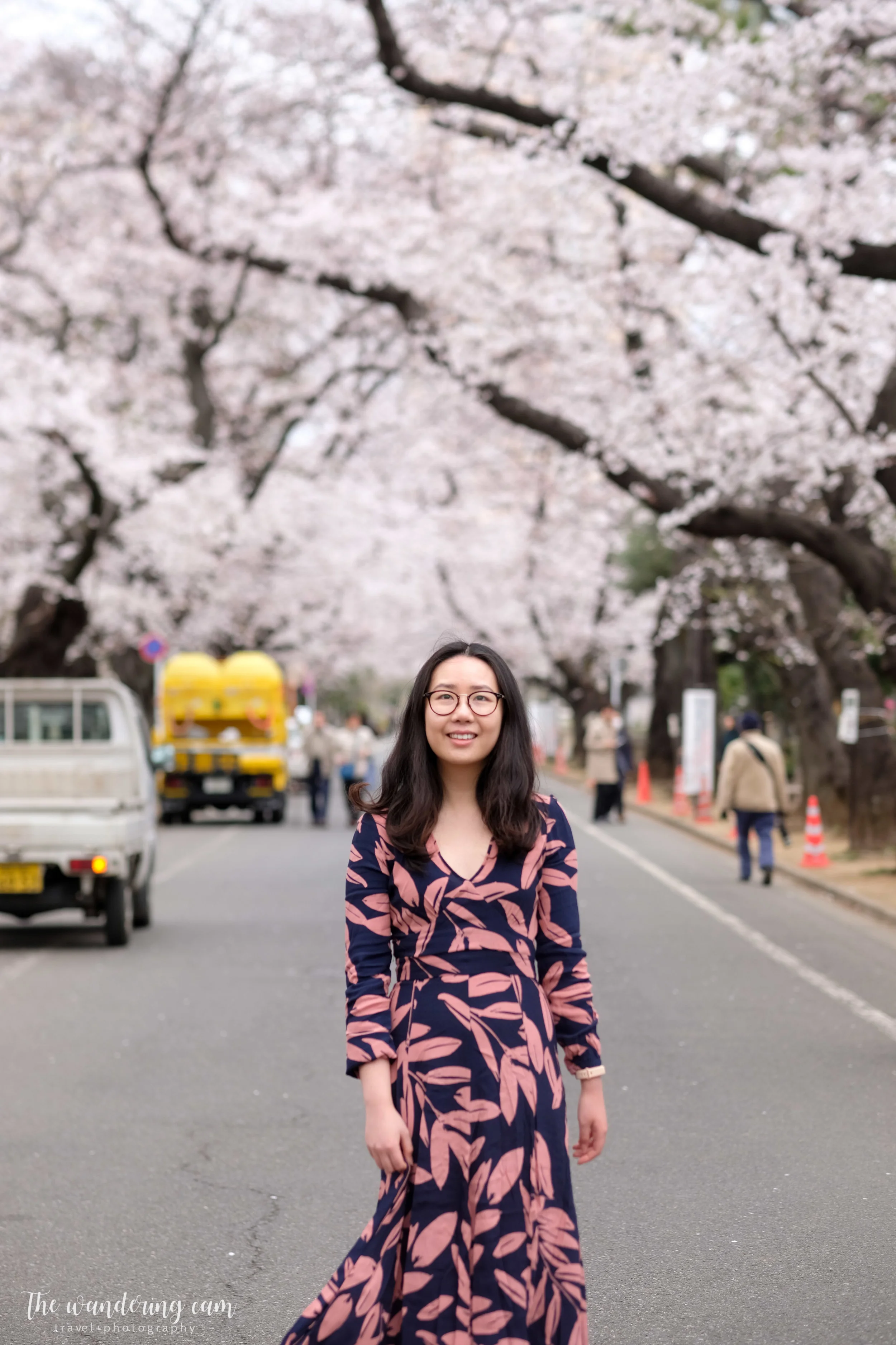 thewanderingcam_sakura_yanaka-4822.jpg
