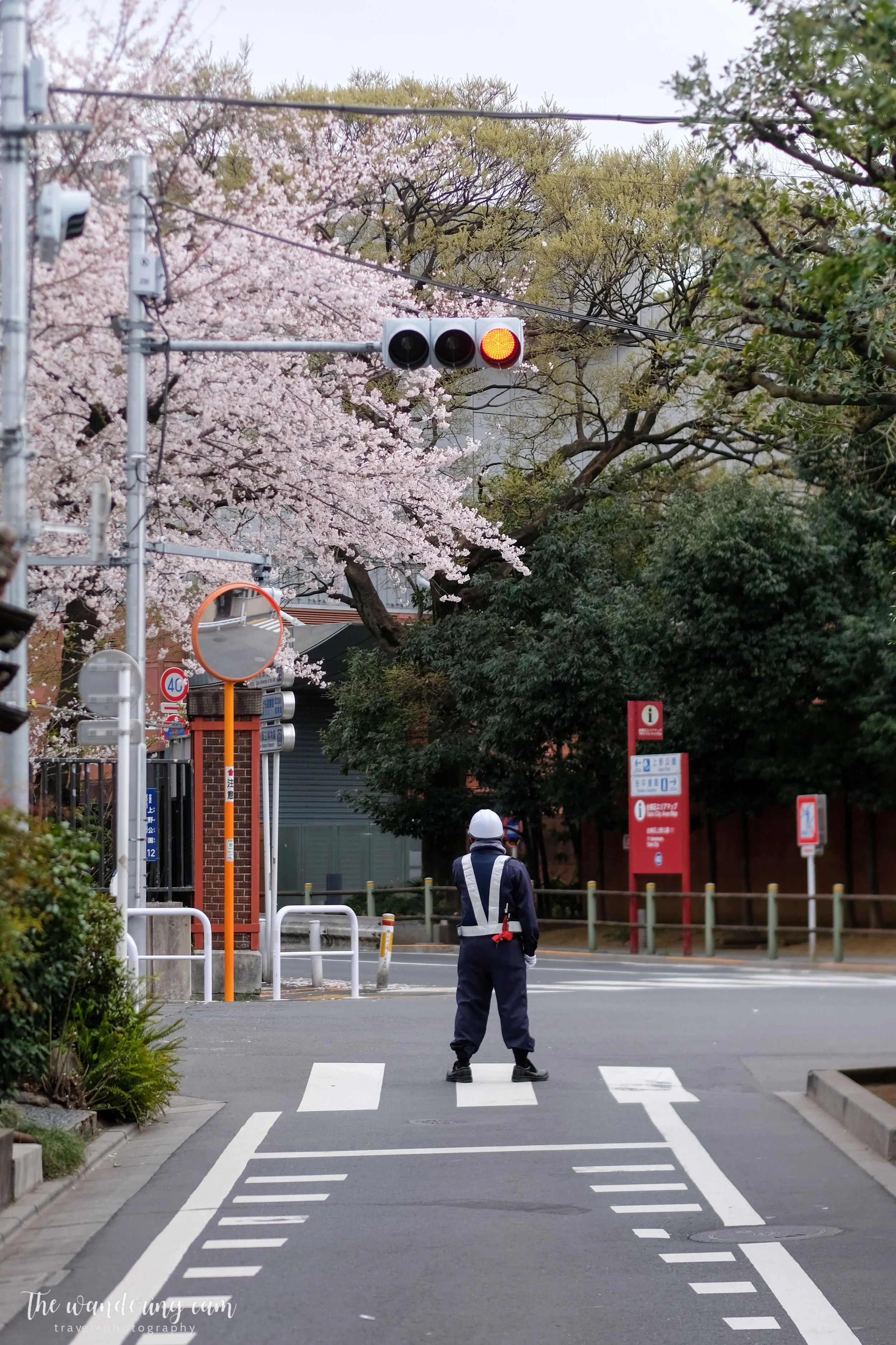 thewanderingcam_sakura_yanaka-4872.jpg