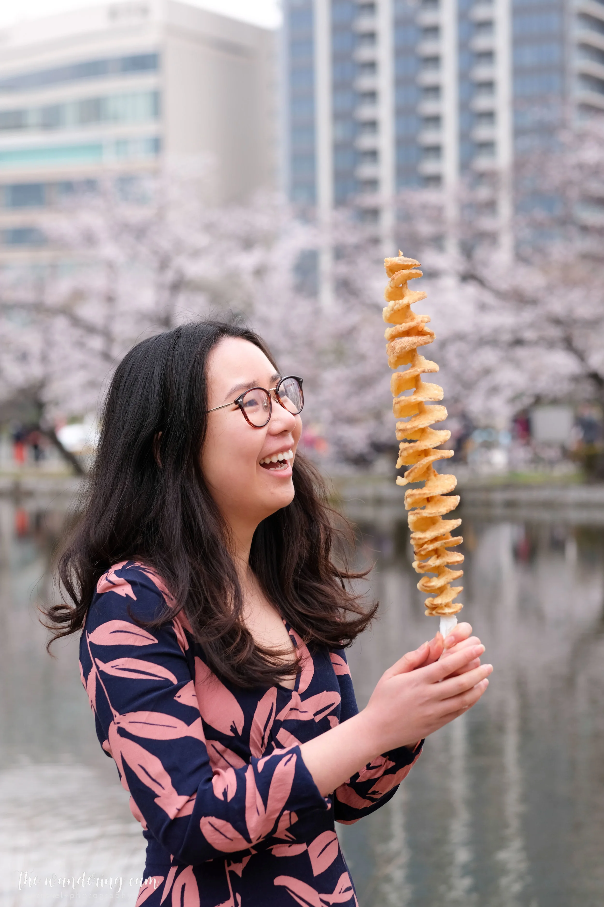 thewanderingcam_sakura_uenopark-4989.jpg