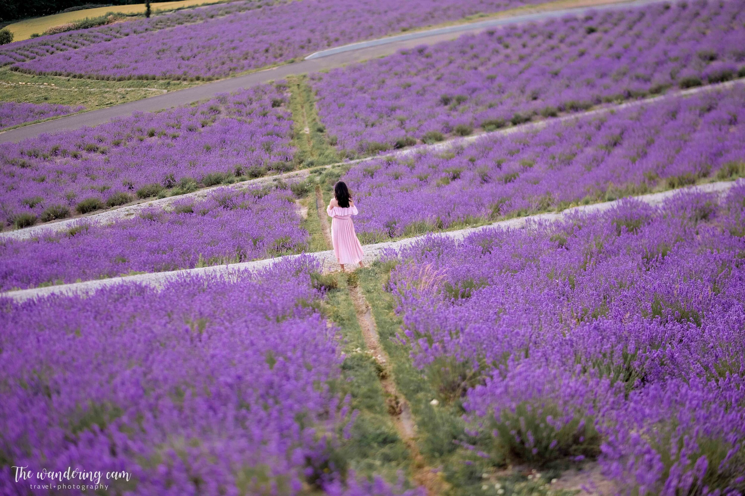 hokkaido-summer-lavender-fields-2048.jpg
