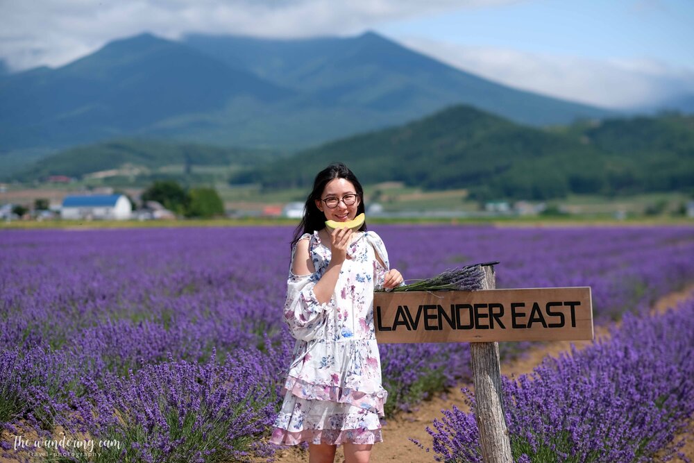 hokkaido-lavender-tomita-farm-2310.jpg