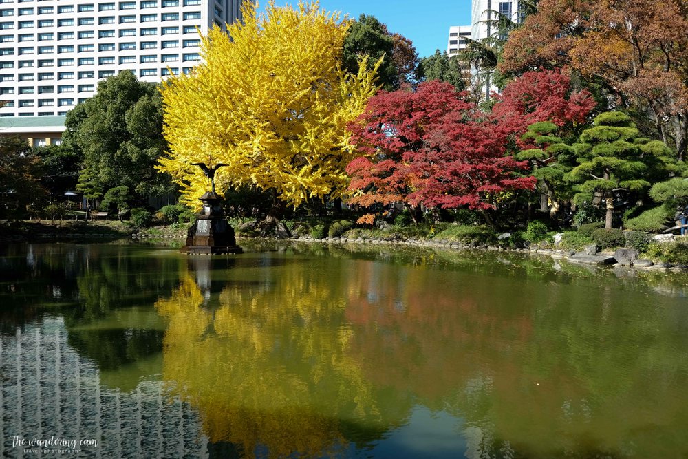 Colourful reflections at Hibiya Park