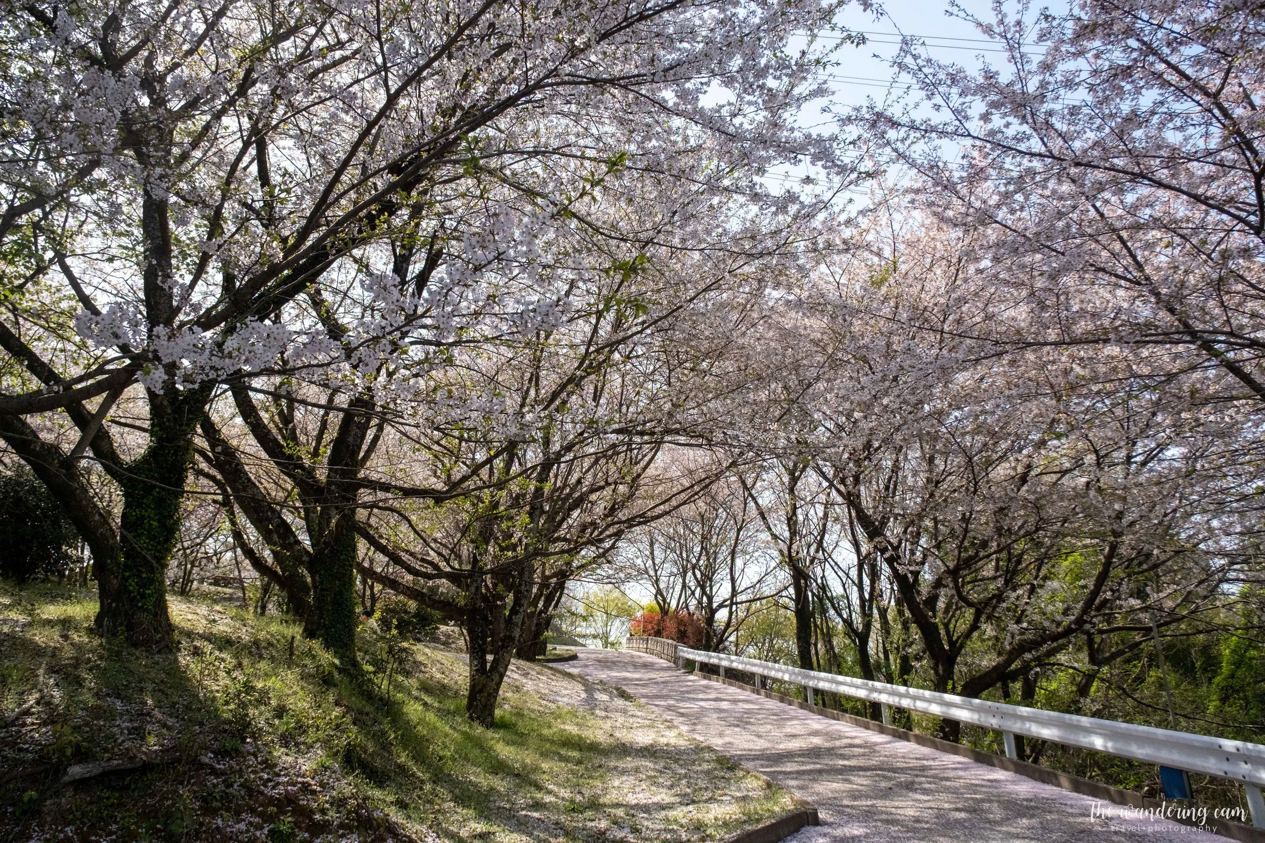 thewanderingcam_urashimavillage-6991.jpg