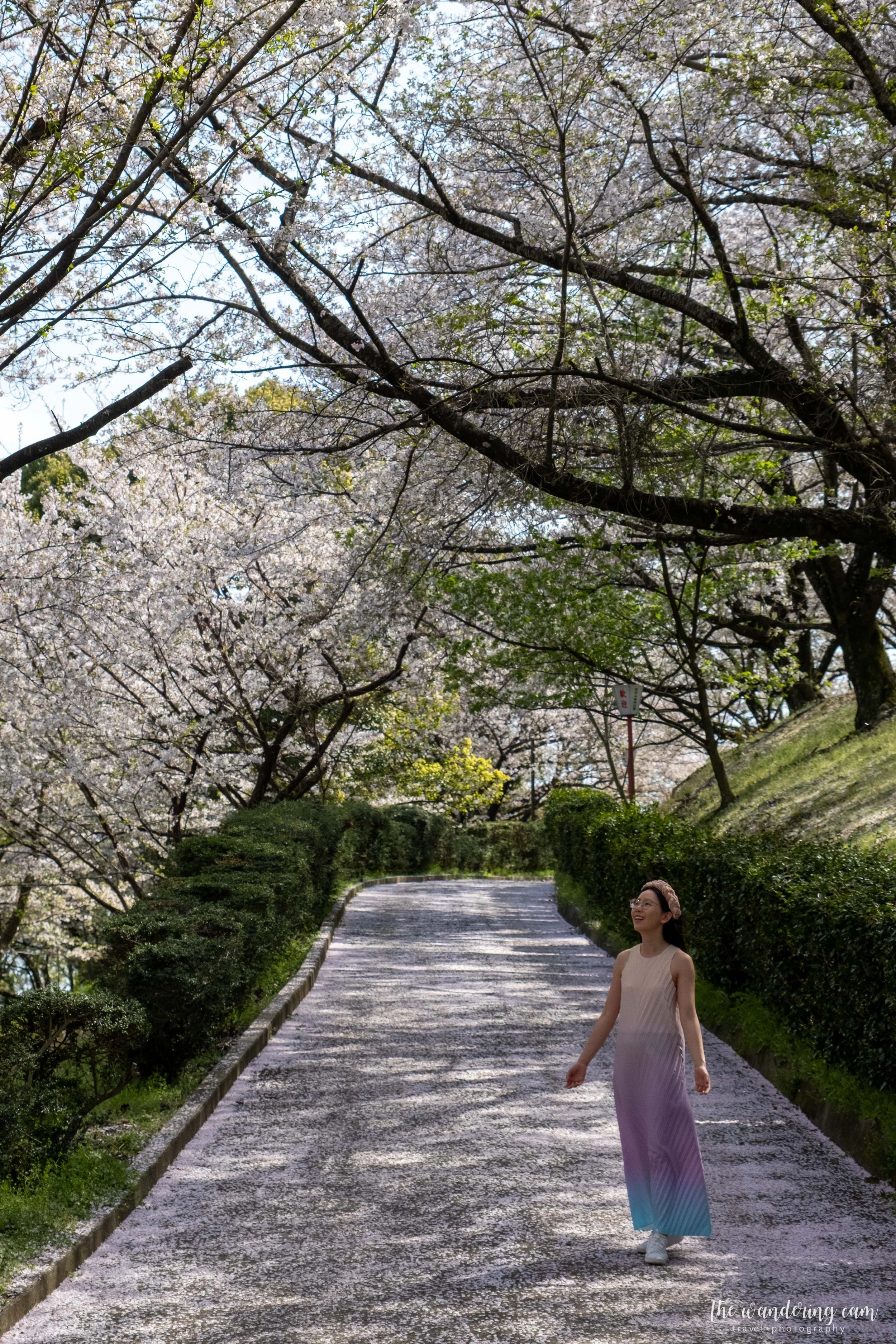 thewanderingcam_urashimavillage-6995.jpg