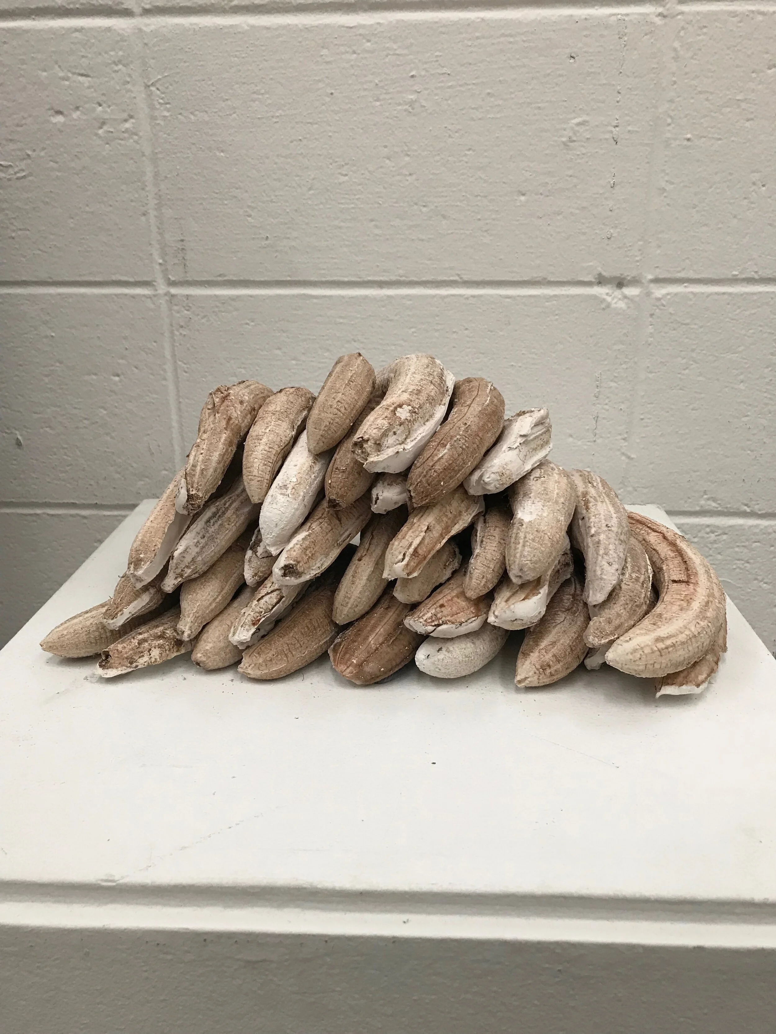 Soft and Hard, 2017, plaster caste bananas 