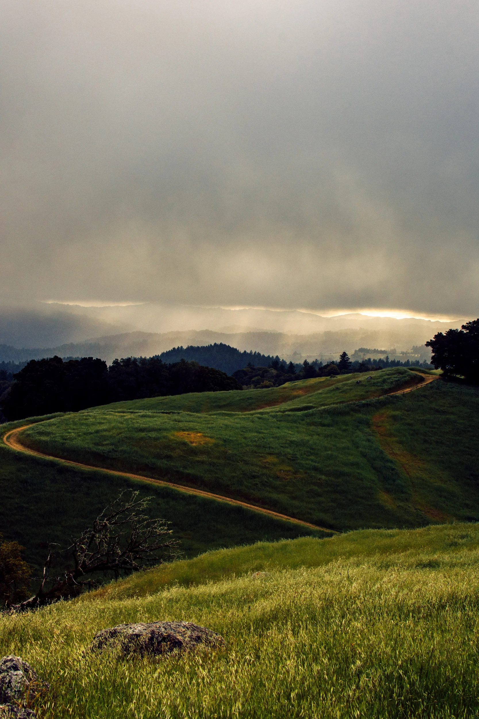A quick shot from the top of the hill. I don't know exactly what the name of it is but it is off of Skyline Boulevard about 10 minutes north of the highway 9 intersection. I captured a good amount of sun rays before the clouds completely blocked out the sun from hitting the hills. Although in the distance I could still see the ocean being hit with the rays. 