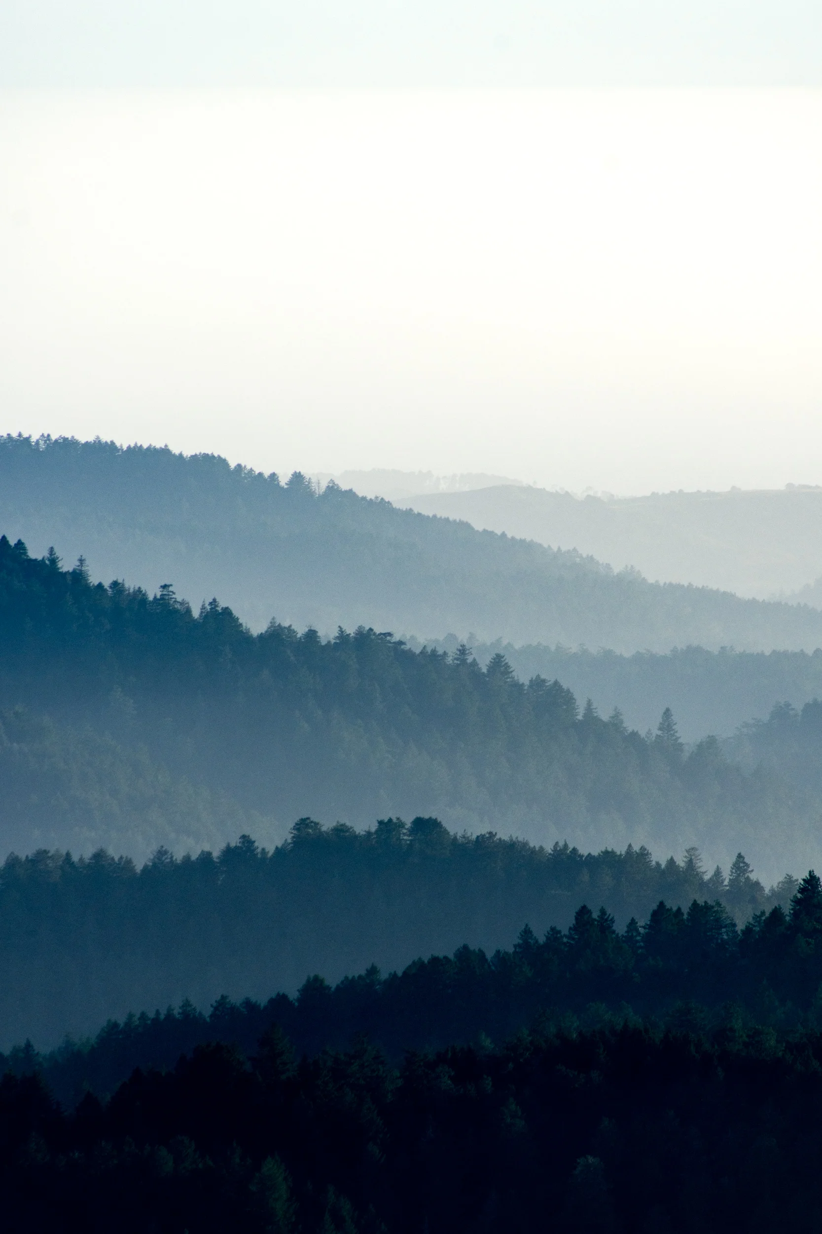 Layers from the sunset up on Russian Ridge.