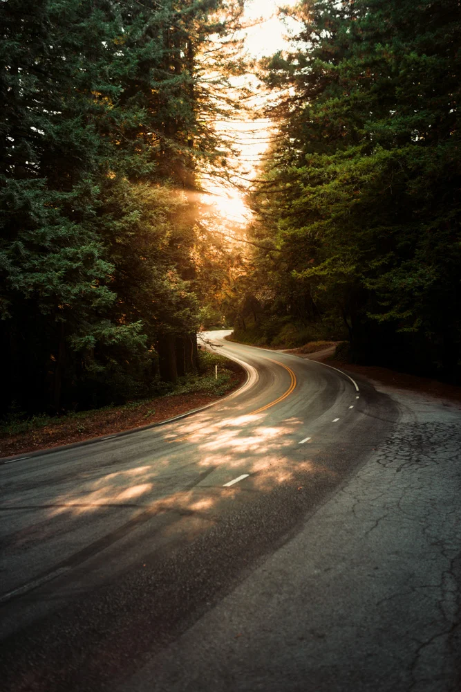 Skyline Boulevard