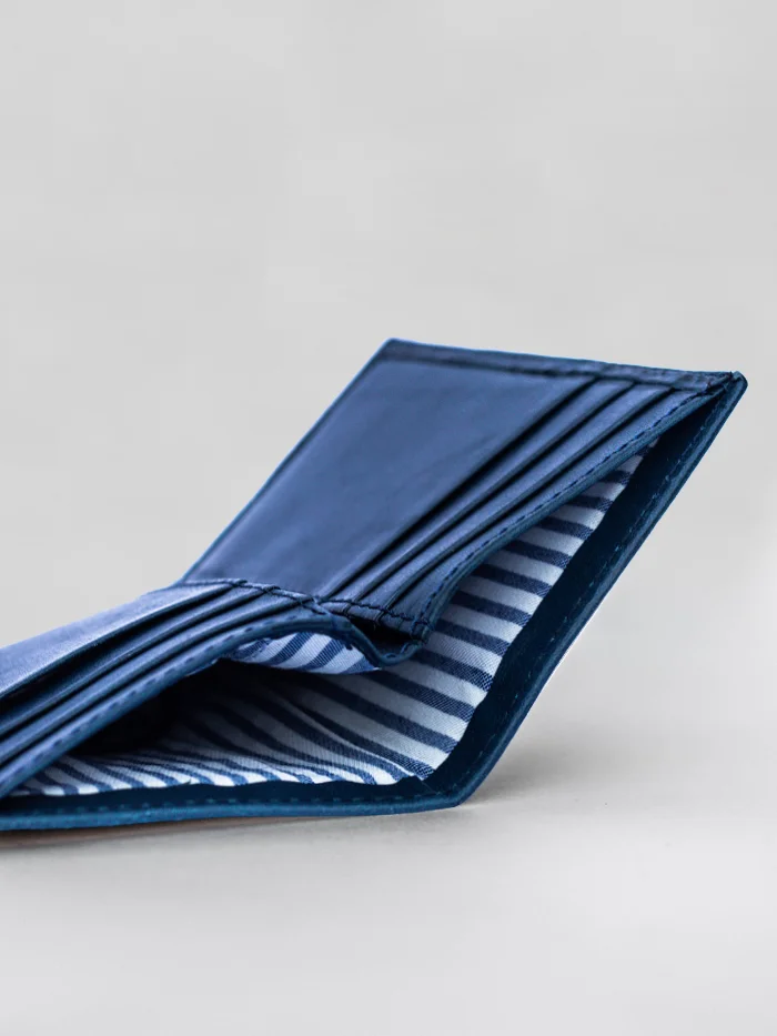 w2 Pedtro Blue 3.jpg