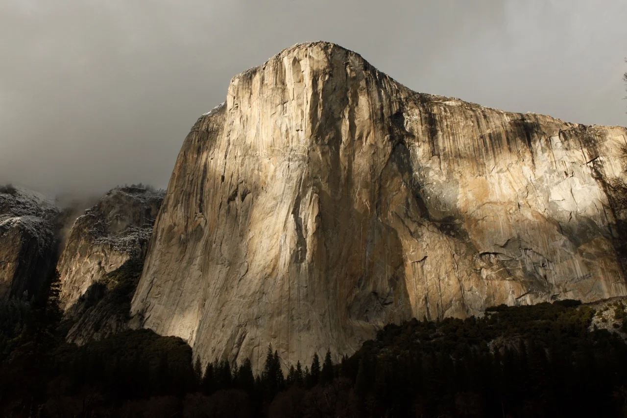 2014 Year End News Letter