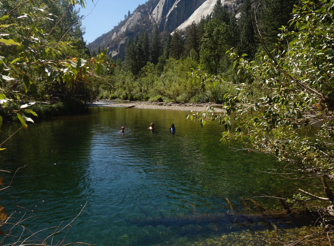 _DSC6246.jpeg