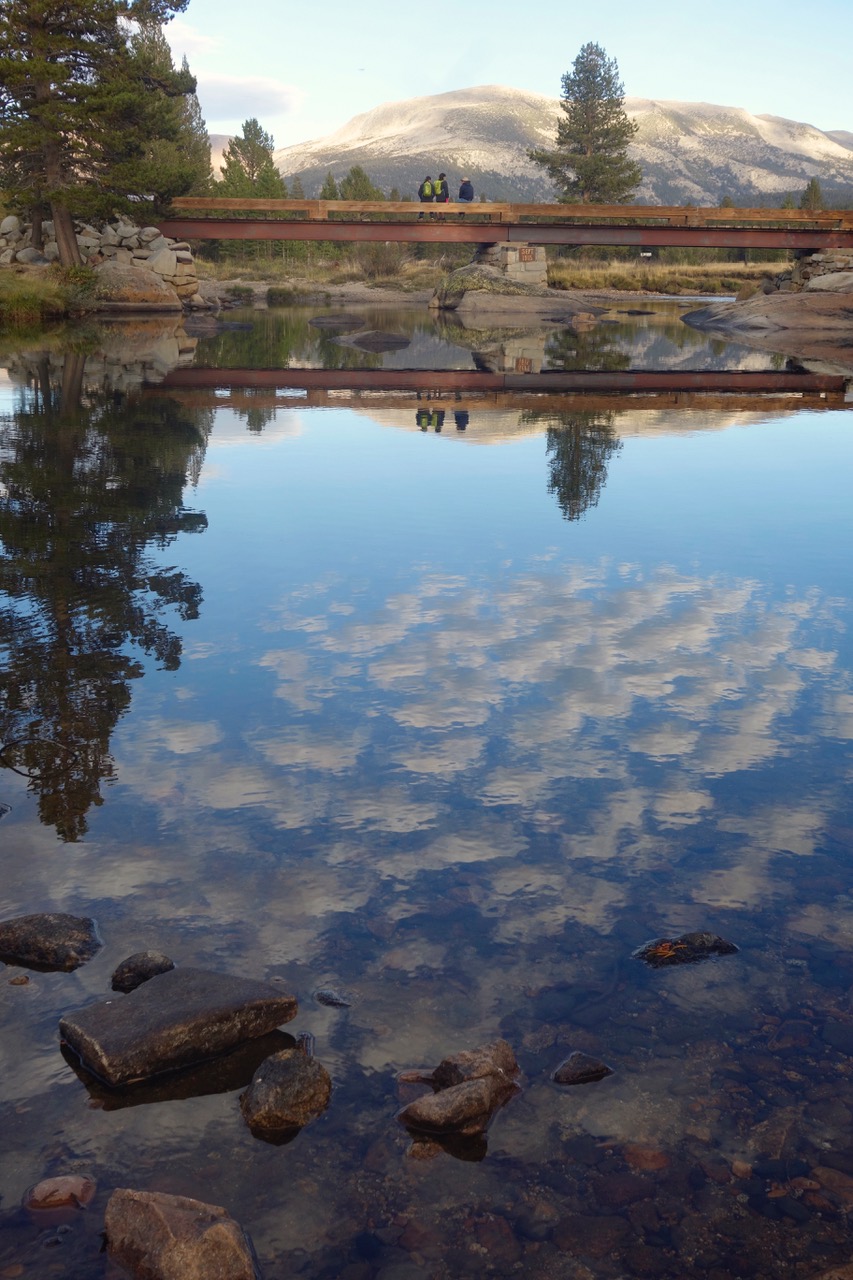 _DSC6666.jpeg