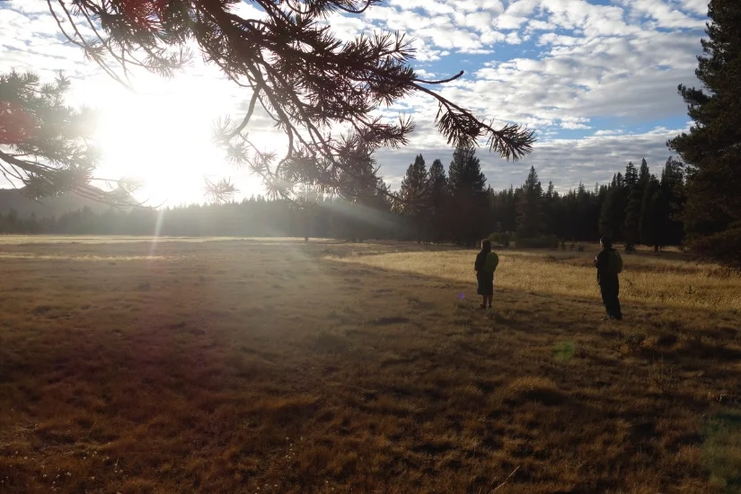 _DSC6675.jpeg