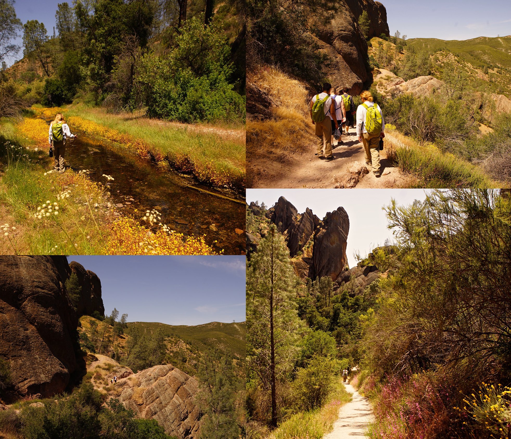 May 7th Ron and board member Steve Shackleton ventured down to Pinnacles National Park for a day trip with youth from San Benito Probation.