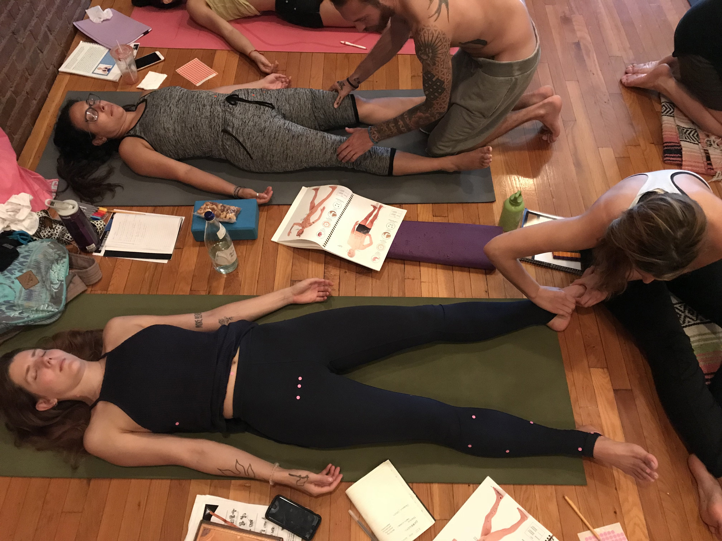 Meridian Yoga Therapy Level 2 — Science of Self Yoga