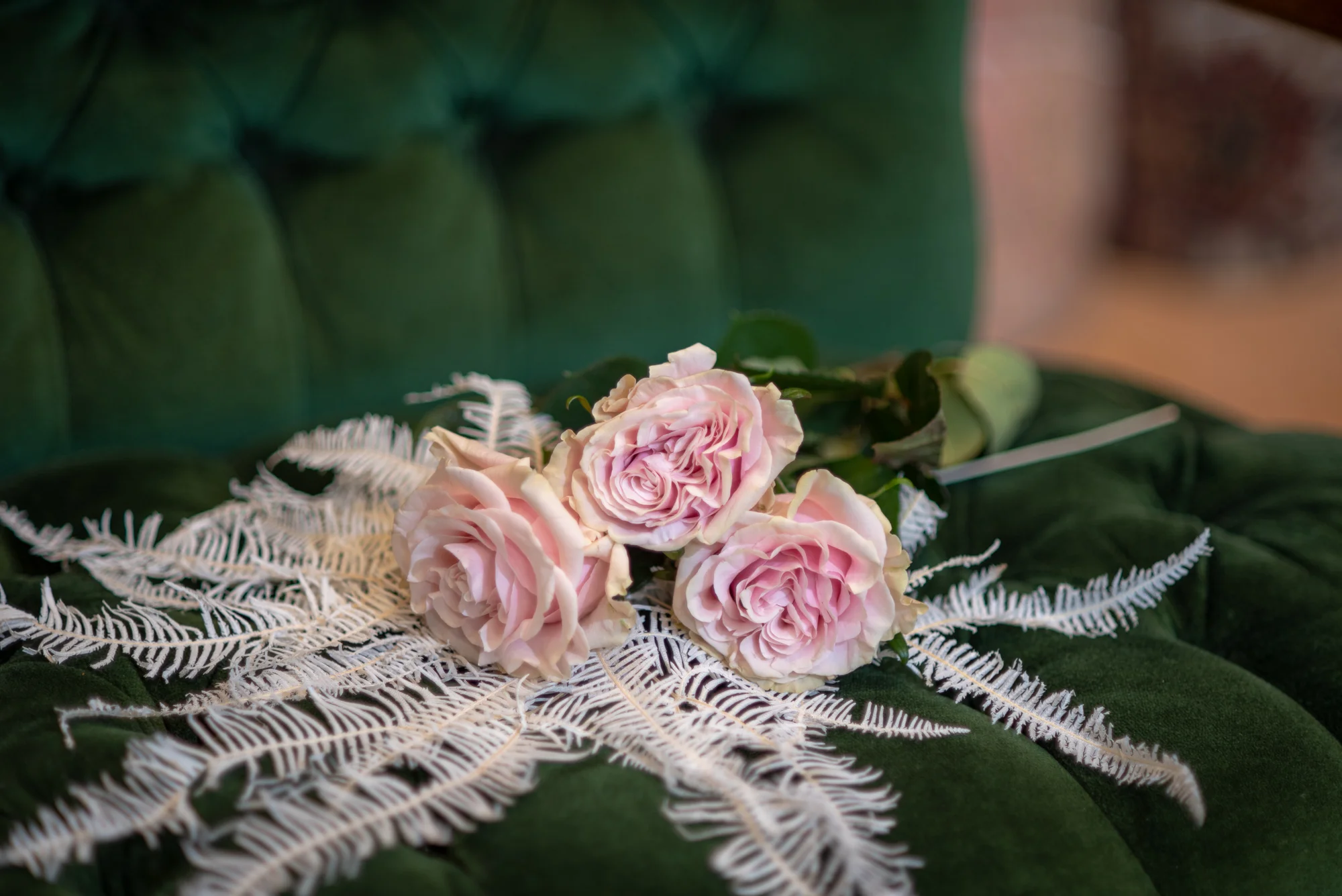 amy-haberland-photography-49.jpg