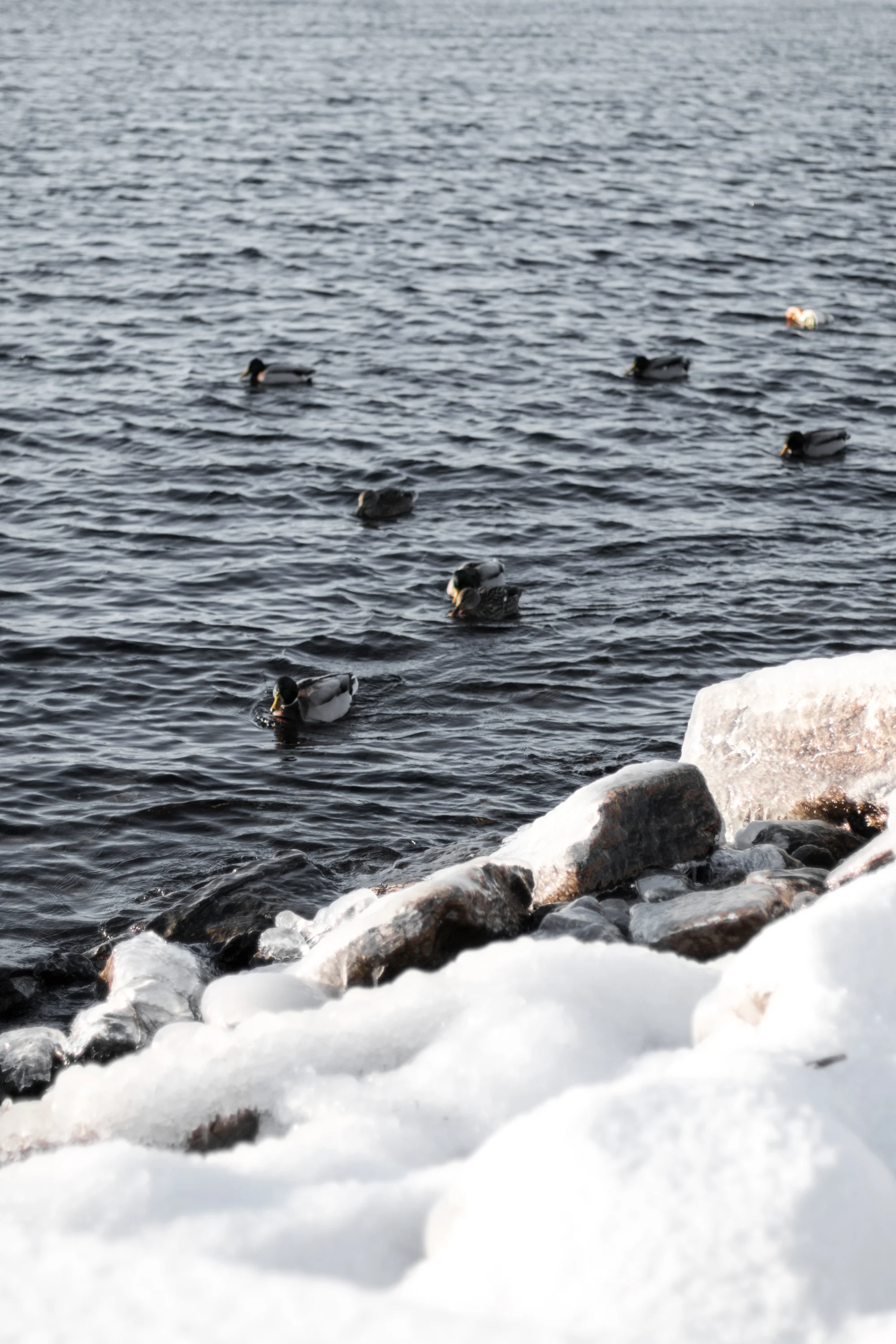 lakechamplain2017-3.jpg