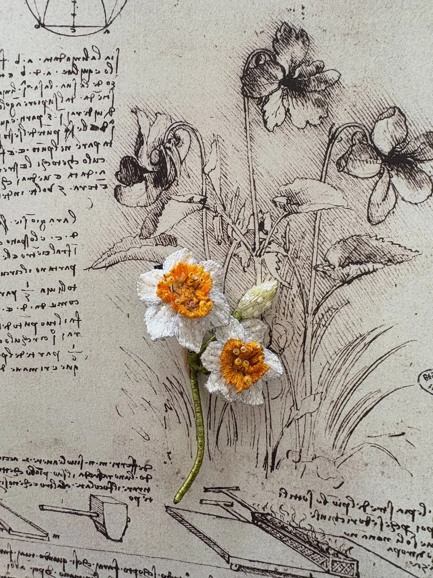 make it daffodil season year round with petite or super-sized blooms, for your lapel or your yard! 💛💛
AND, we have some very exciting news 🥁🥁🥁 we have been approved for the COLLECT Art Purchase Scheme, which means that you could buy a daffodil s