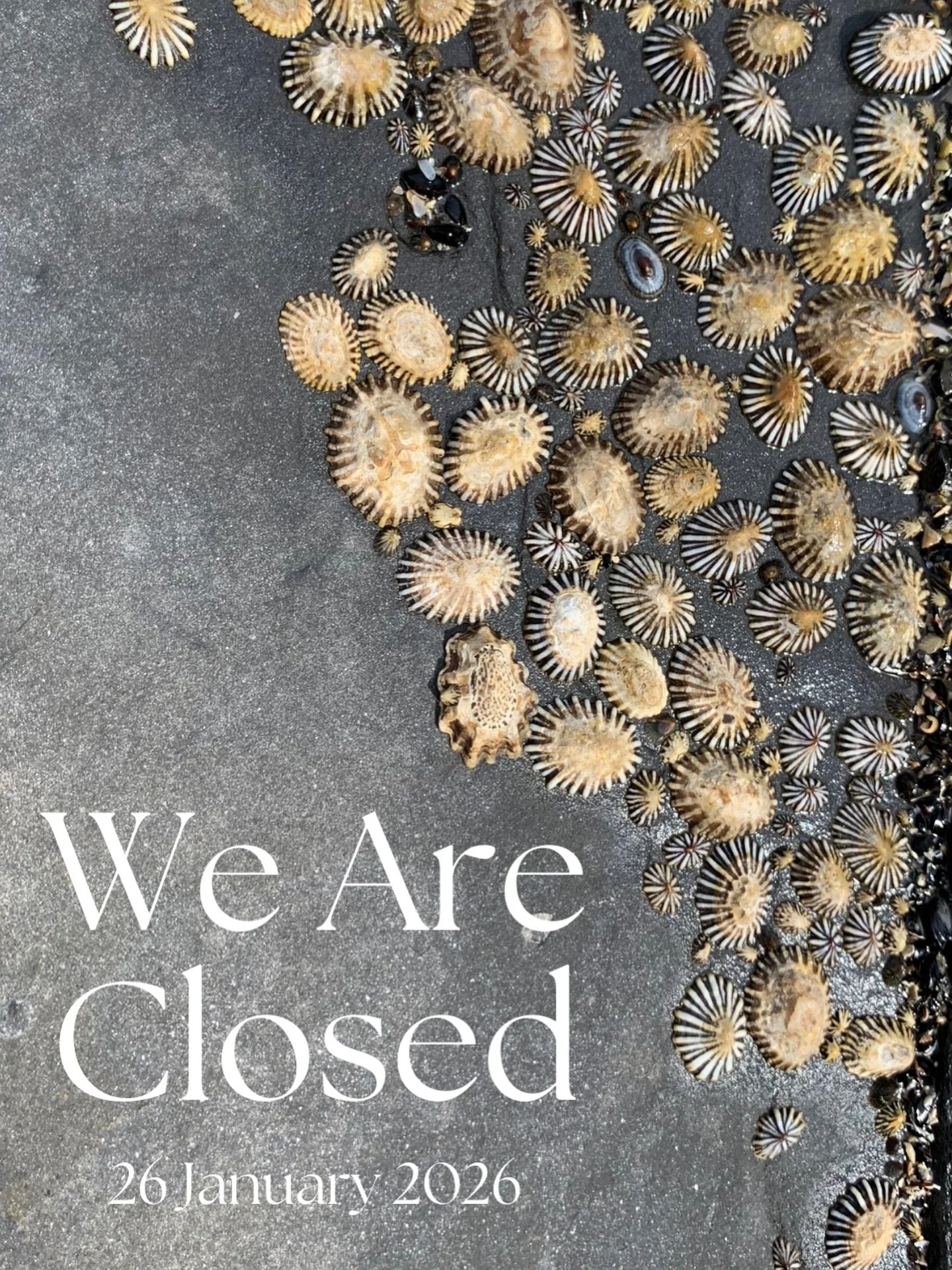 CUCKoO will be closed on Monday 26 January in solidarity with First Nations Australians. This is a day of mourning, not a day for celebration, nor a &lsquo;business as usual&rsquo; approach. 
We acknowledge the deep history, resilience &amp; continui